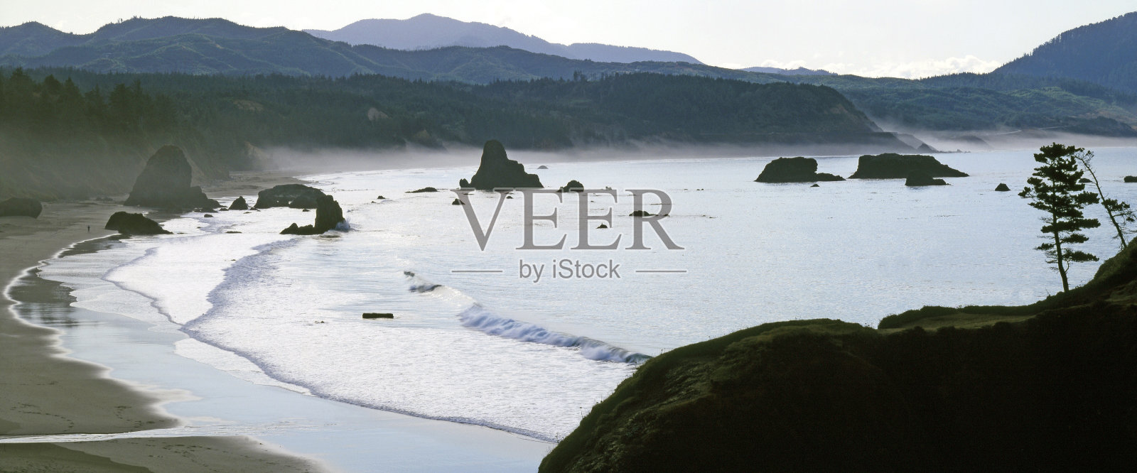 Ecola公园照片摄影图片