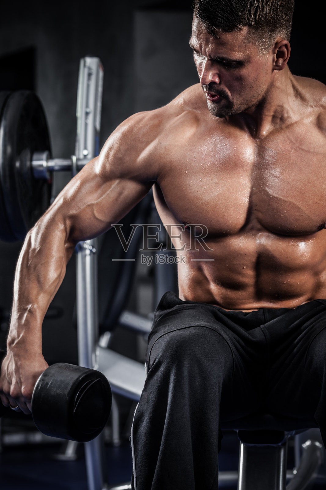 与哑铃健身照片摄影图片