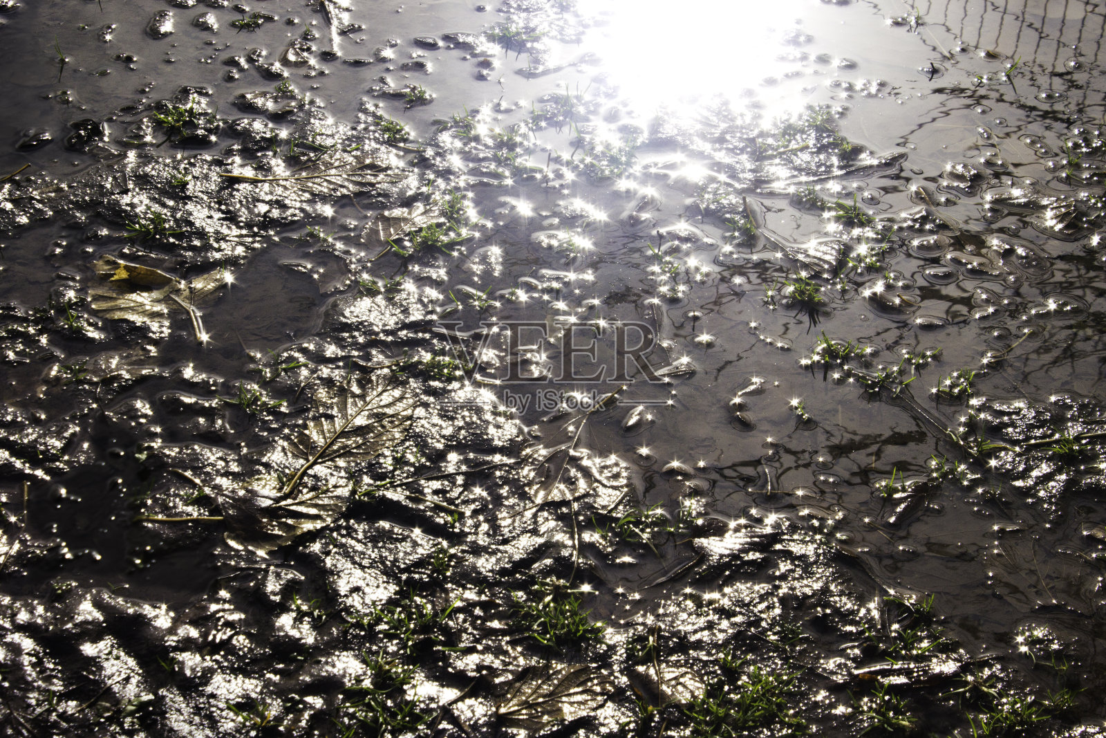 水坑中的倒影照片摄影图片