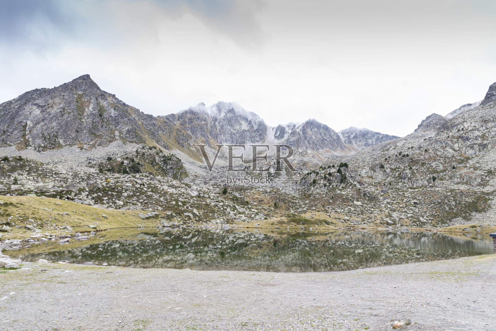 湖的蜜蜂照片摄影图片