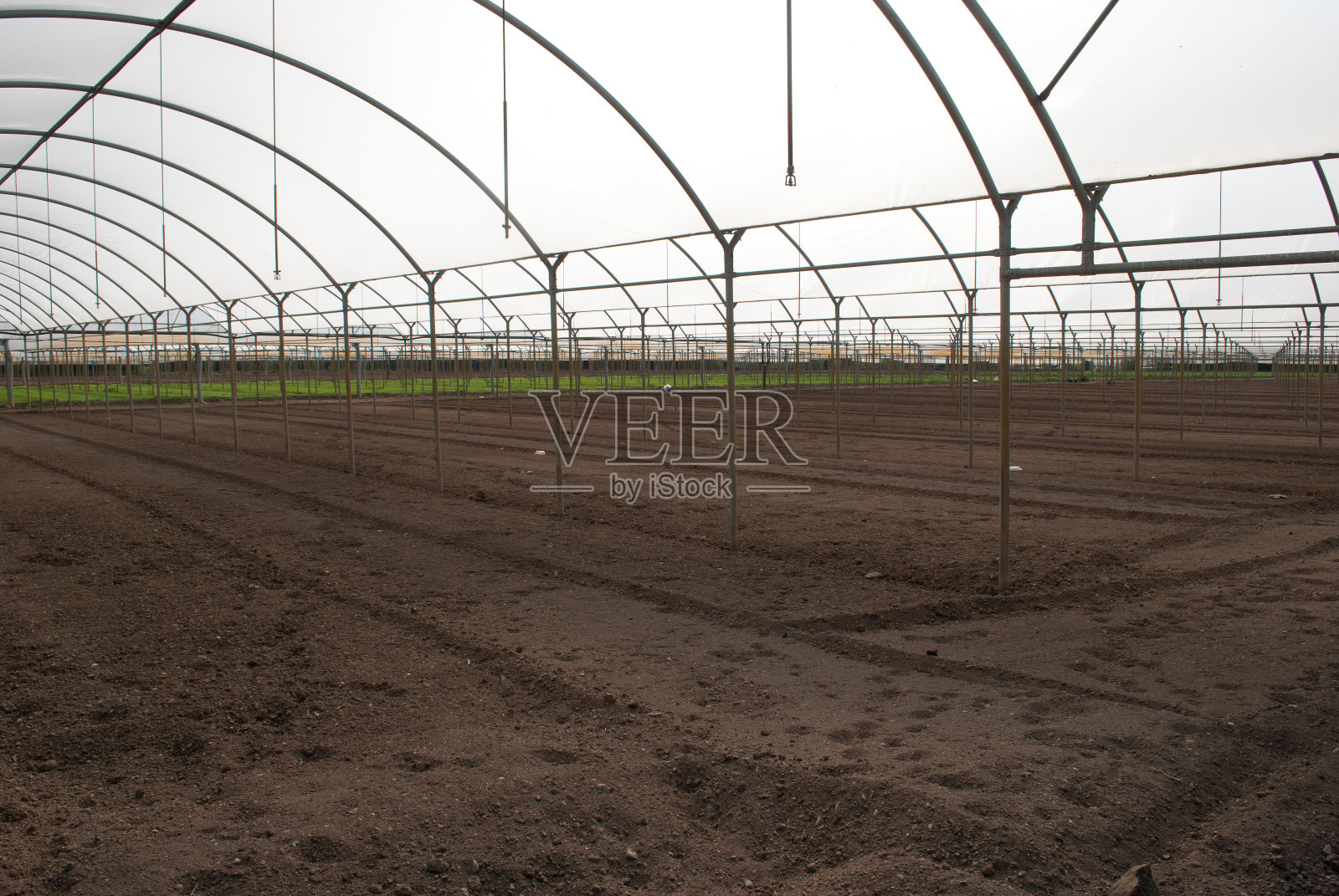 农业温室照片摄影图片