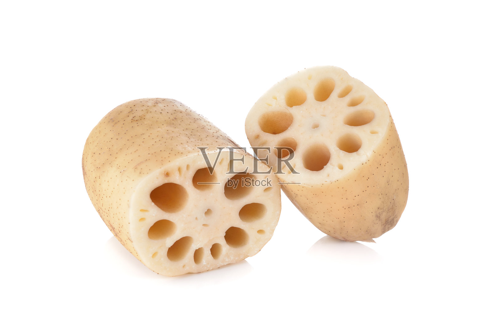 白底生莲藕照片摄影图片