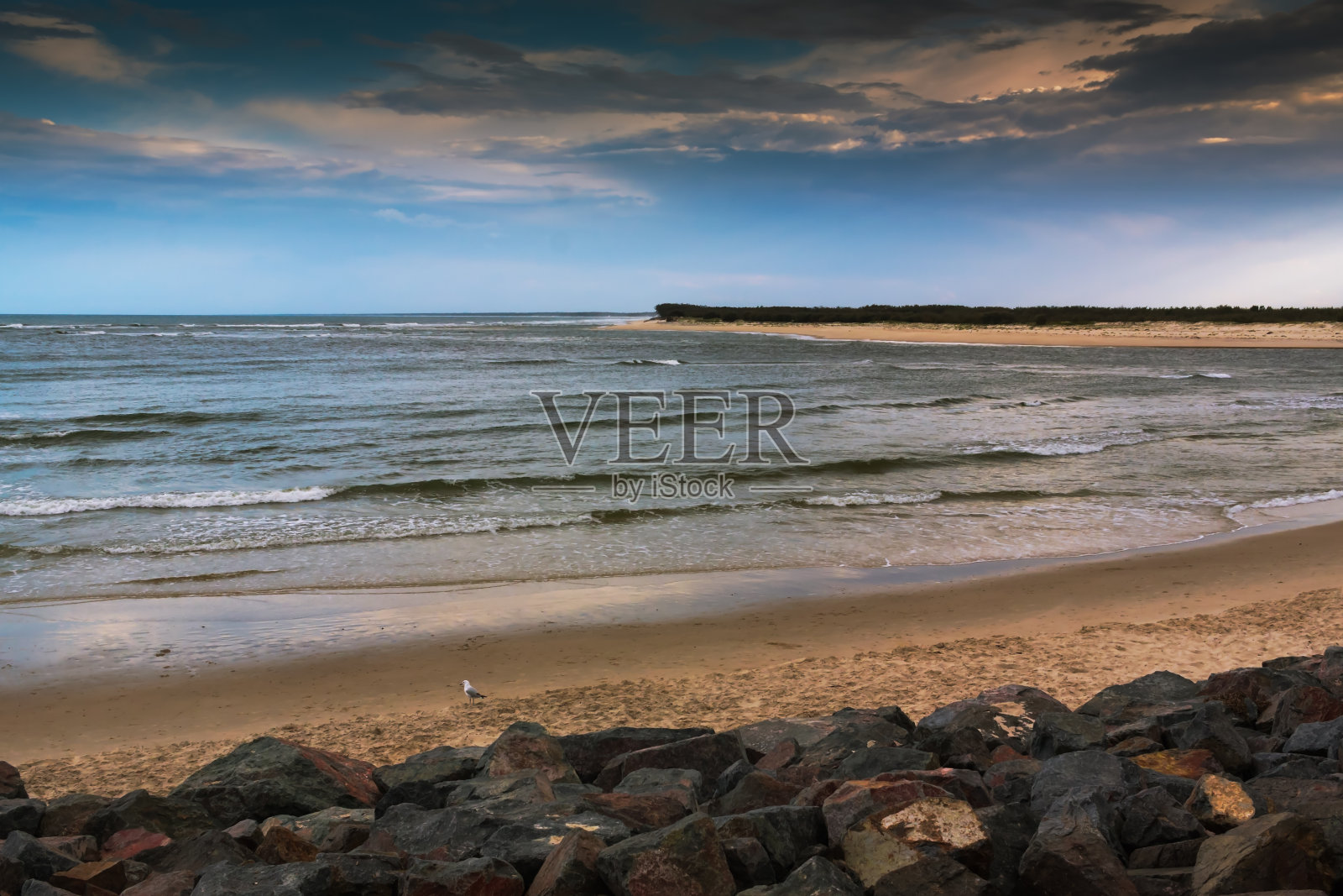 日落海滩上的海鸥照片摄影图片
