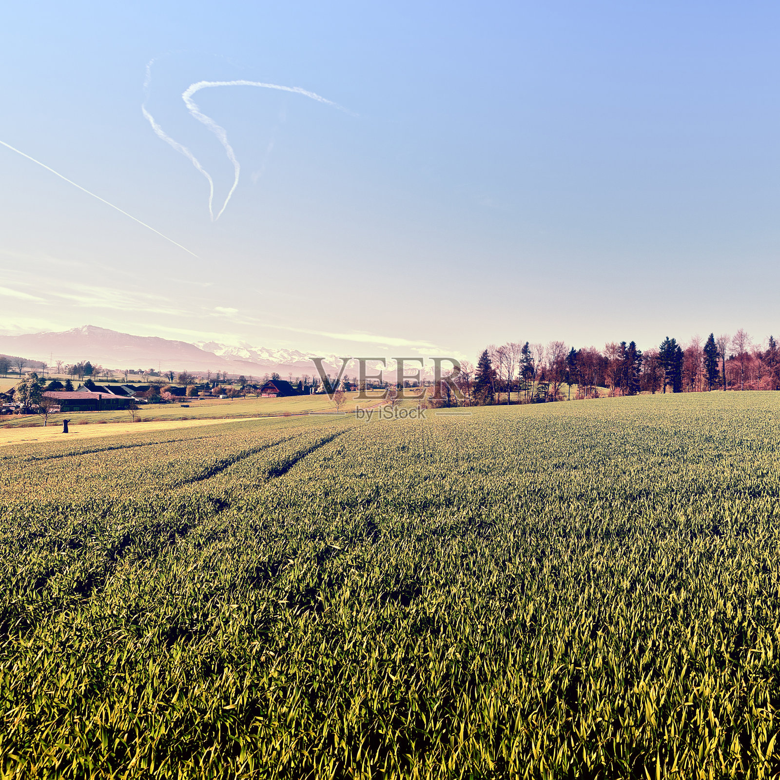 草地照片摄影图片