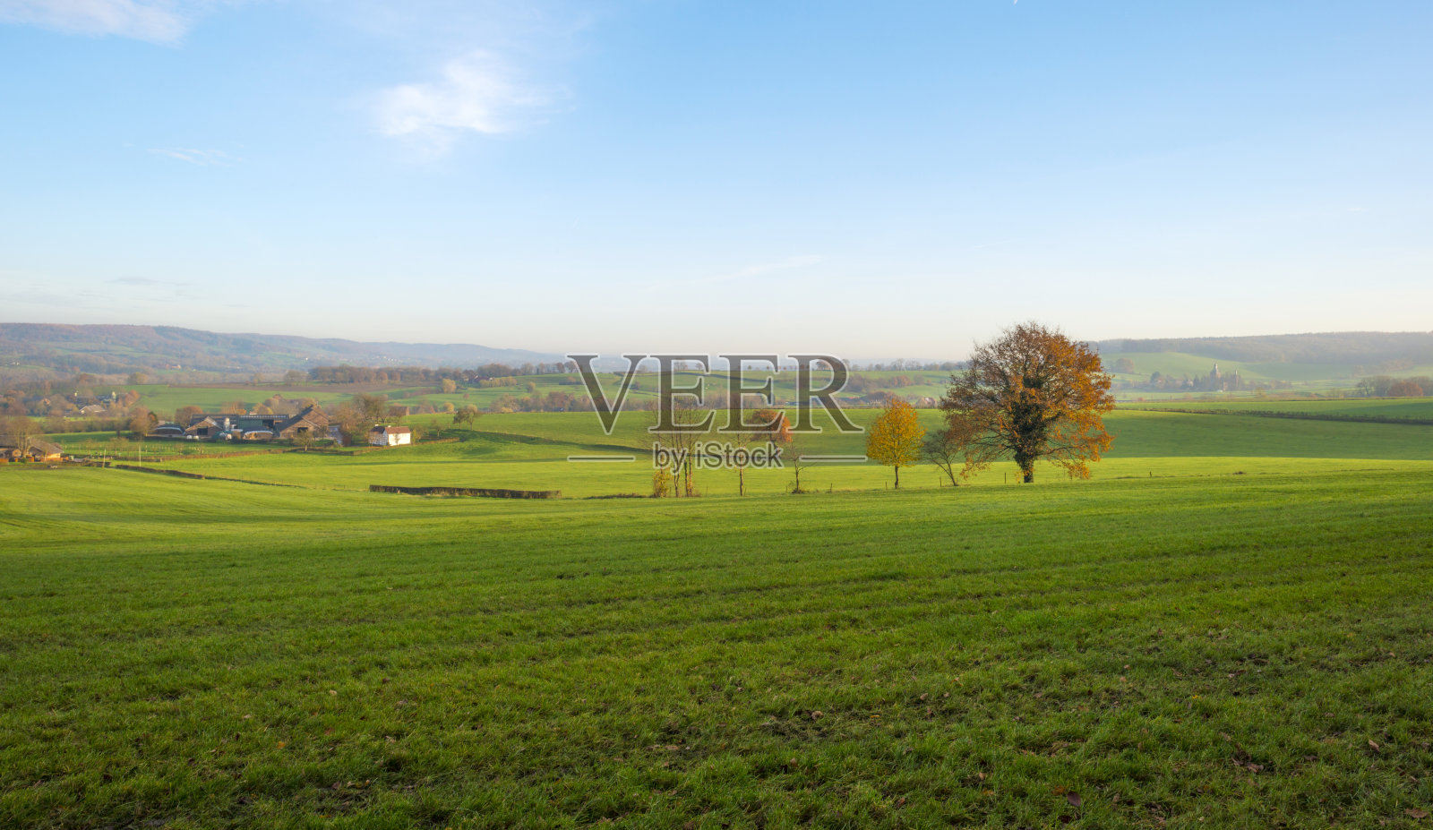 秋天日落时草地上的一棵树照片摄影图片