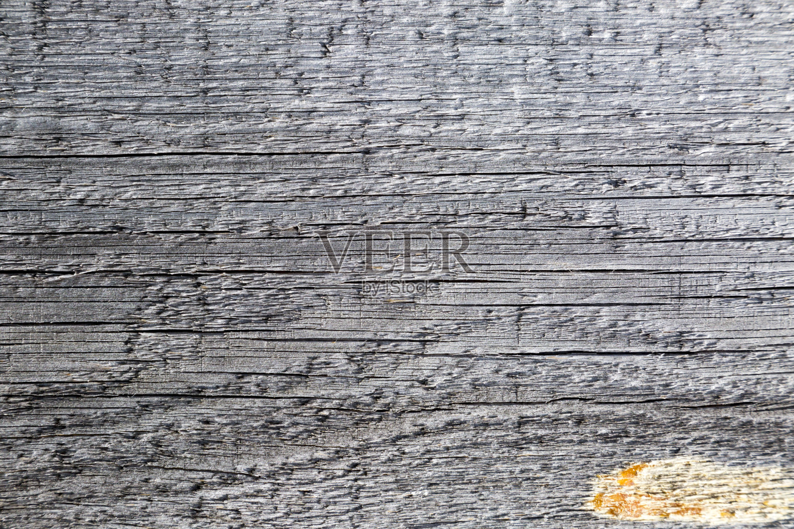 古松木板宏观纹理照片摄影图片