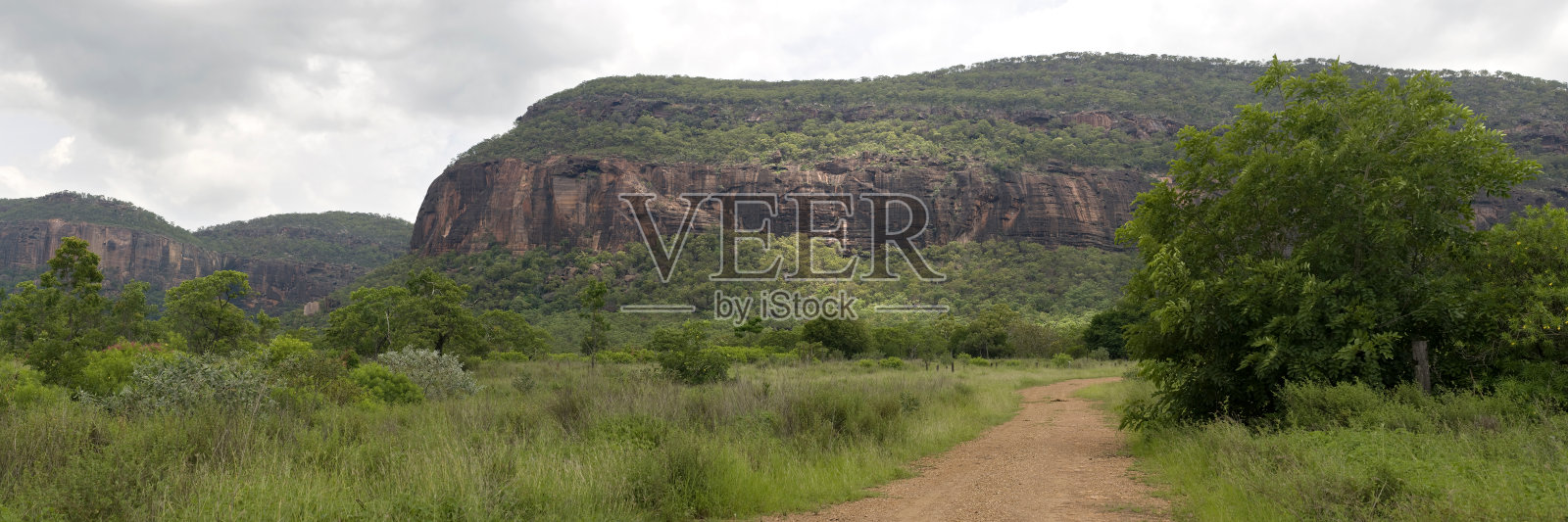 山穆里根照片摄影图片