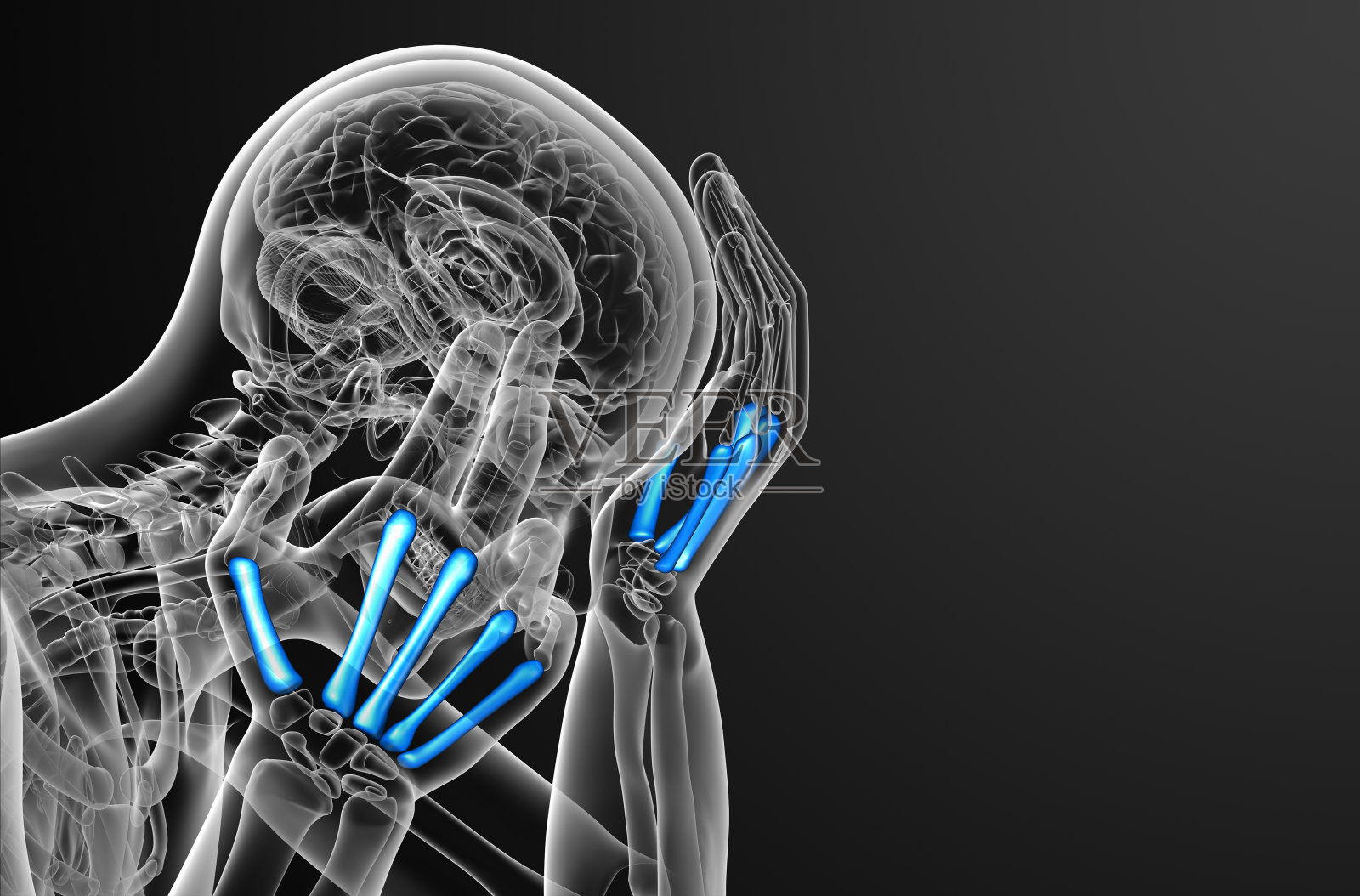 掌骨的3d渲染医学插图照片摄影图片