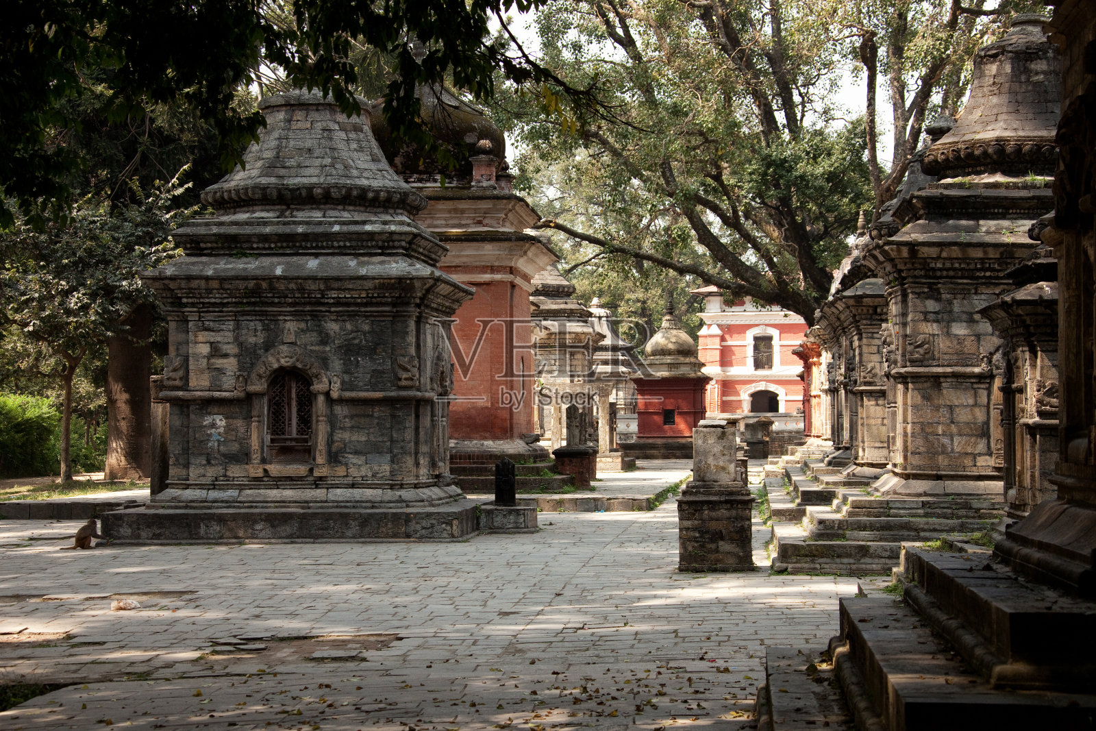 Pashupatinath寺庙建筑群，加德满都，尼泊尔。照片摄影图片