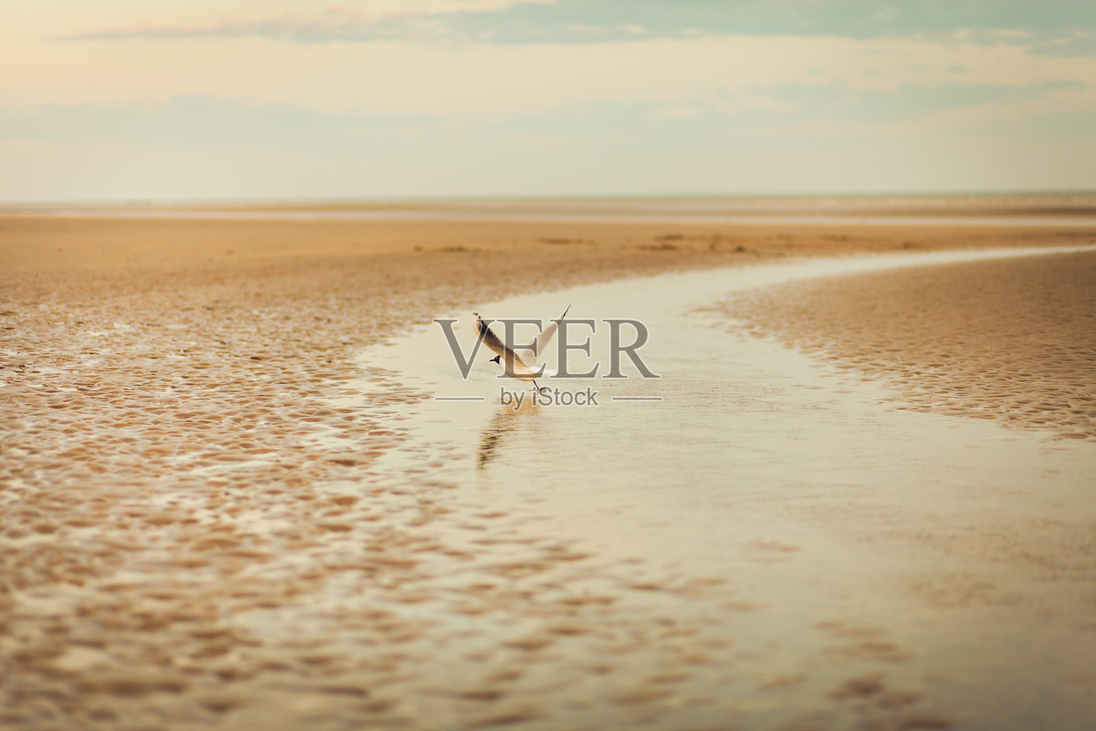 弧形砂照片摄影图片