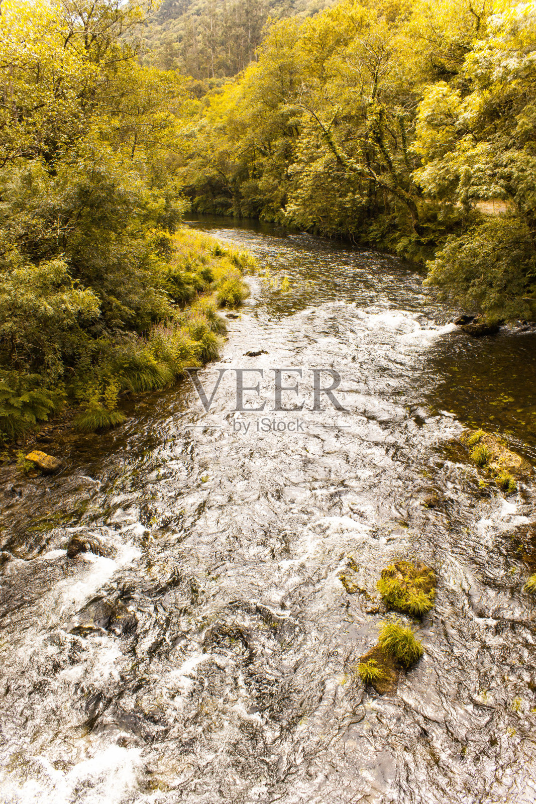 秋天的河流和森林照片摄影图片