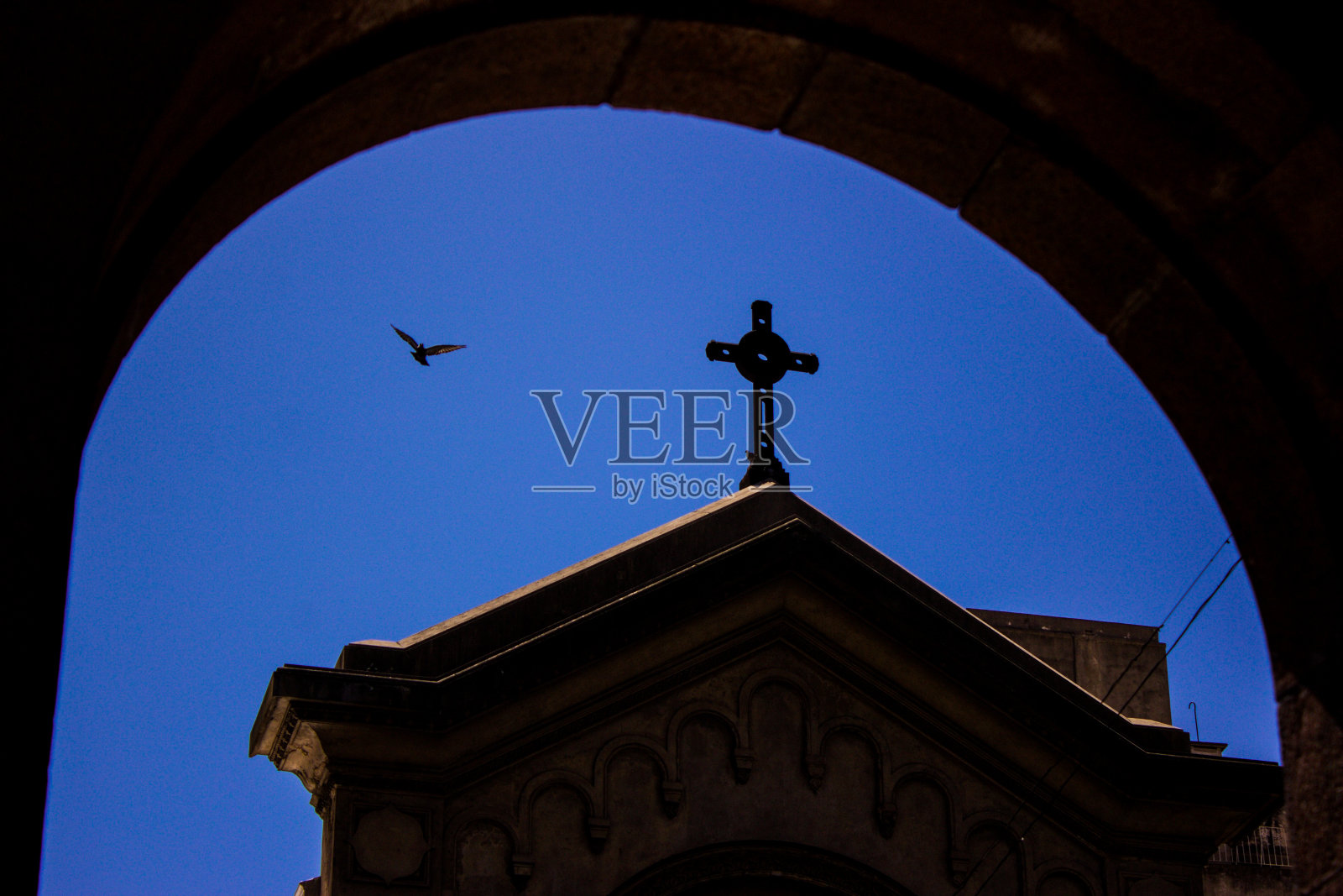 鸟飞过教堂照片摄影图片