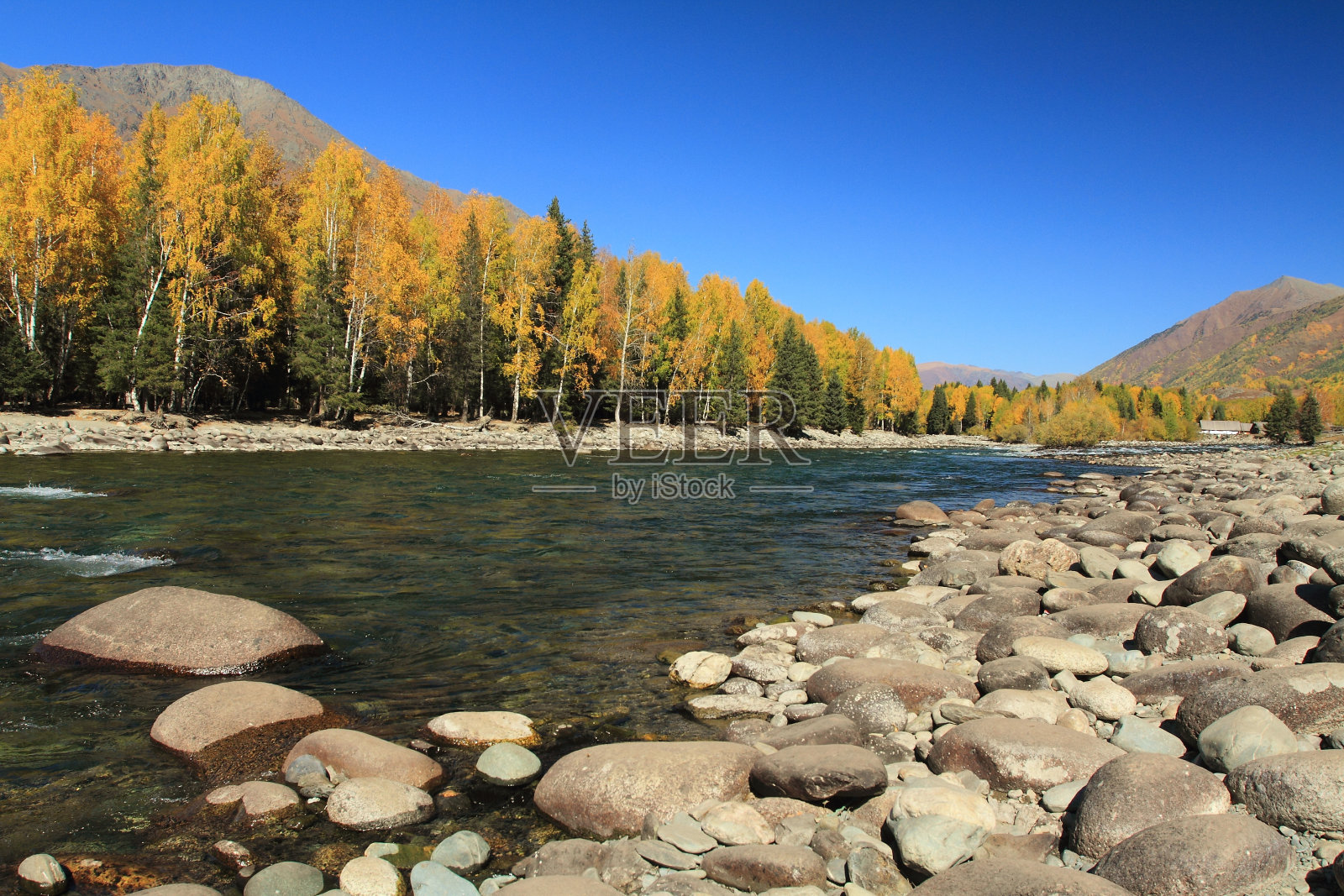 这条河有五颜六色的树叶照片摄影图片