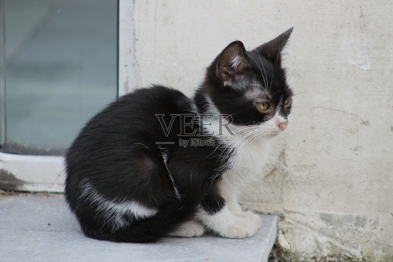 无家可归的人照片摄影图片