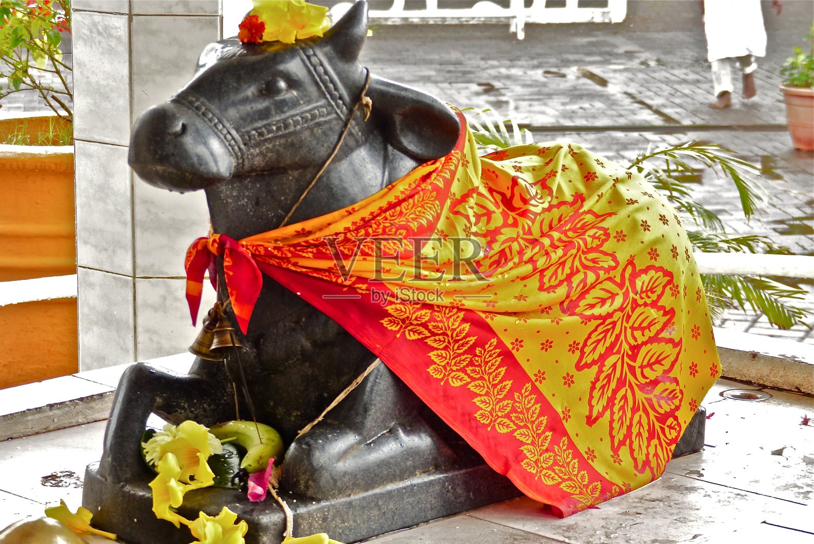 毛里求斯-大盆地，南迪，湿婆，雕像照片摄影图片