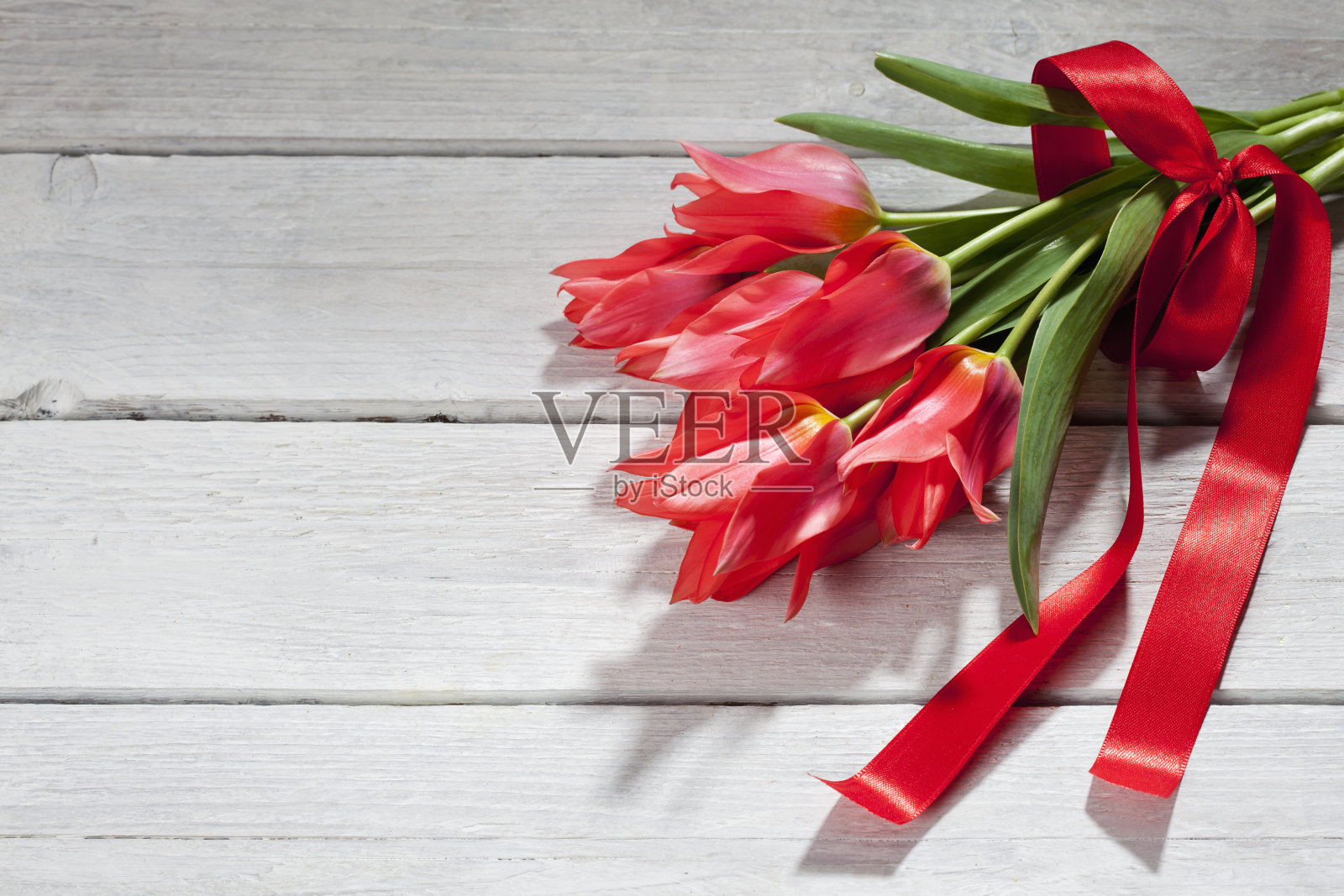 一束带蝴蝶结的红色郁金香照片摄影图片