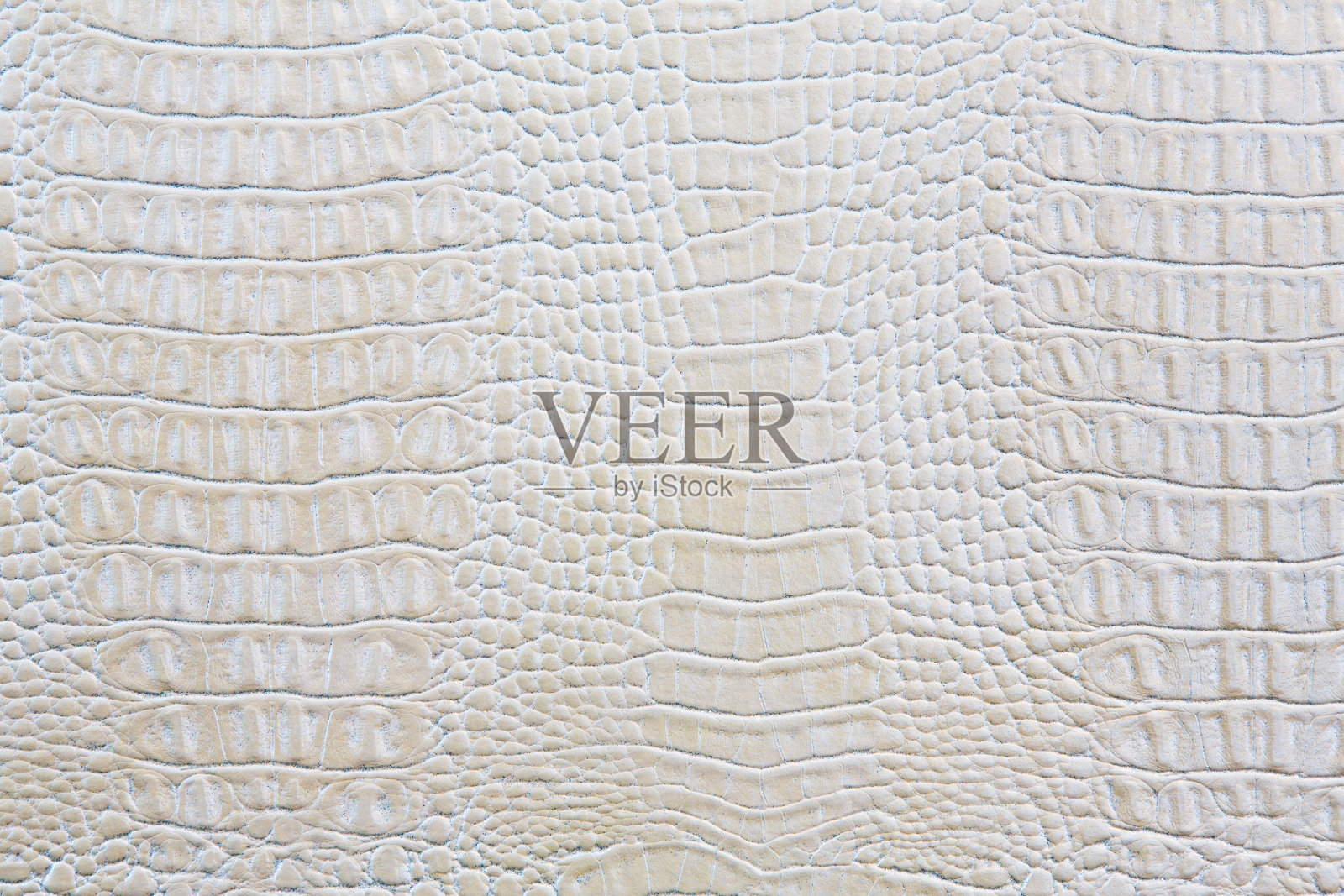 鳄鱼皮白色皮革背景照片摄影图片