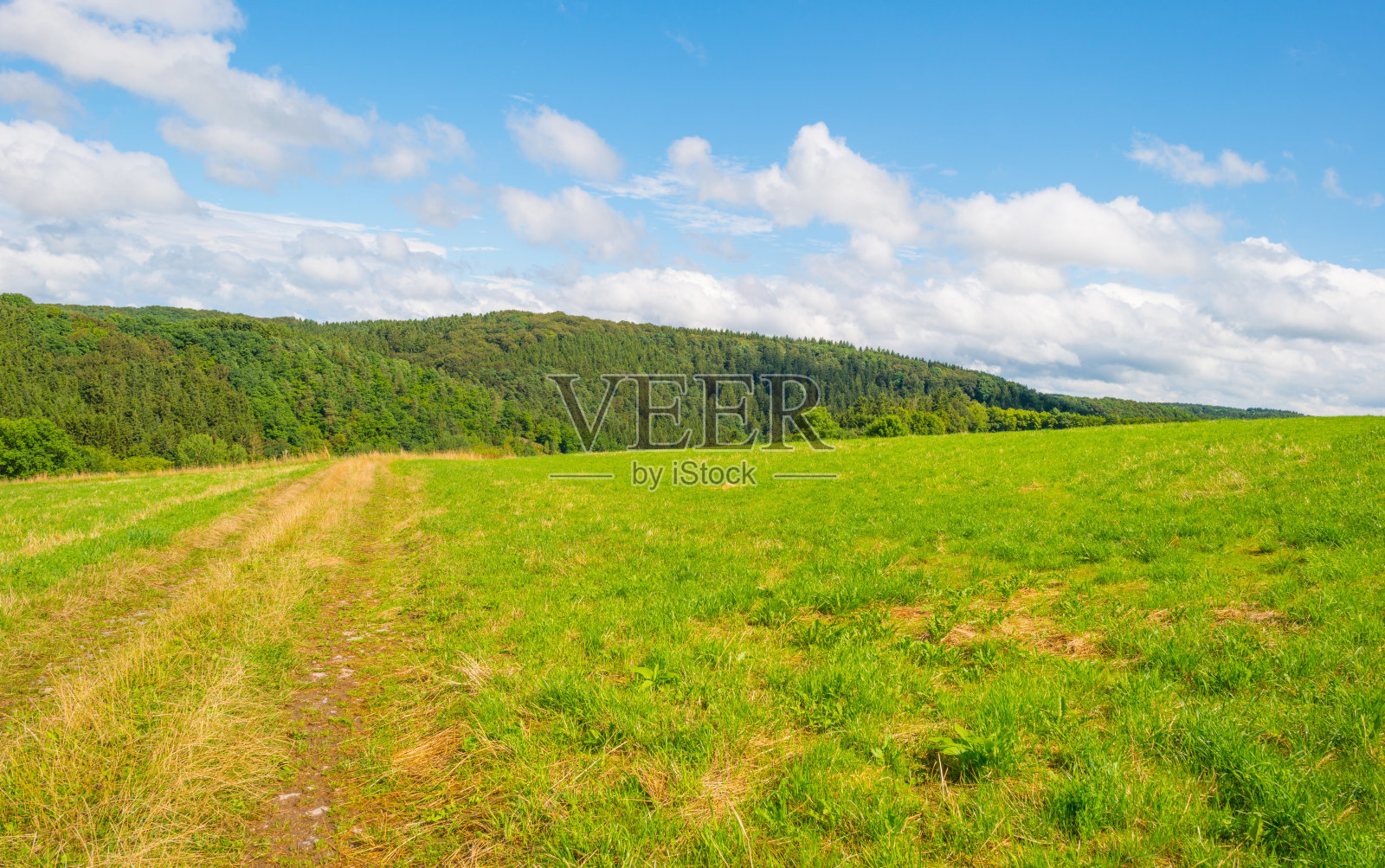 夏天的艾菲尔国家公园照片摄影图片