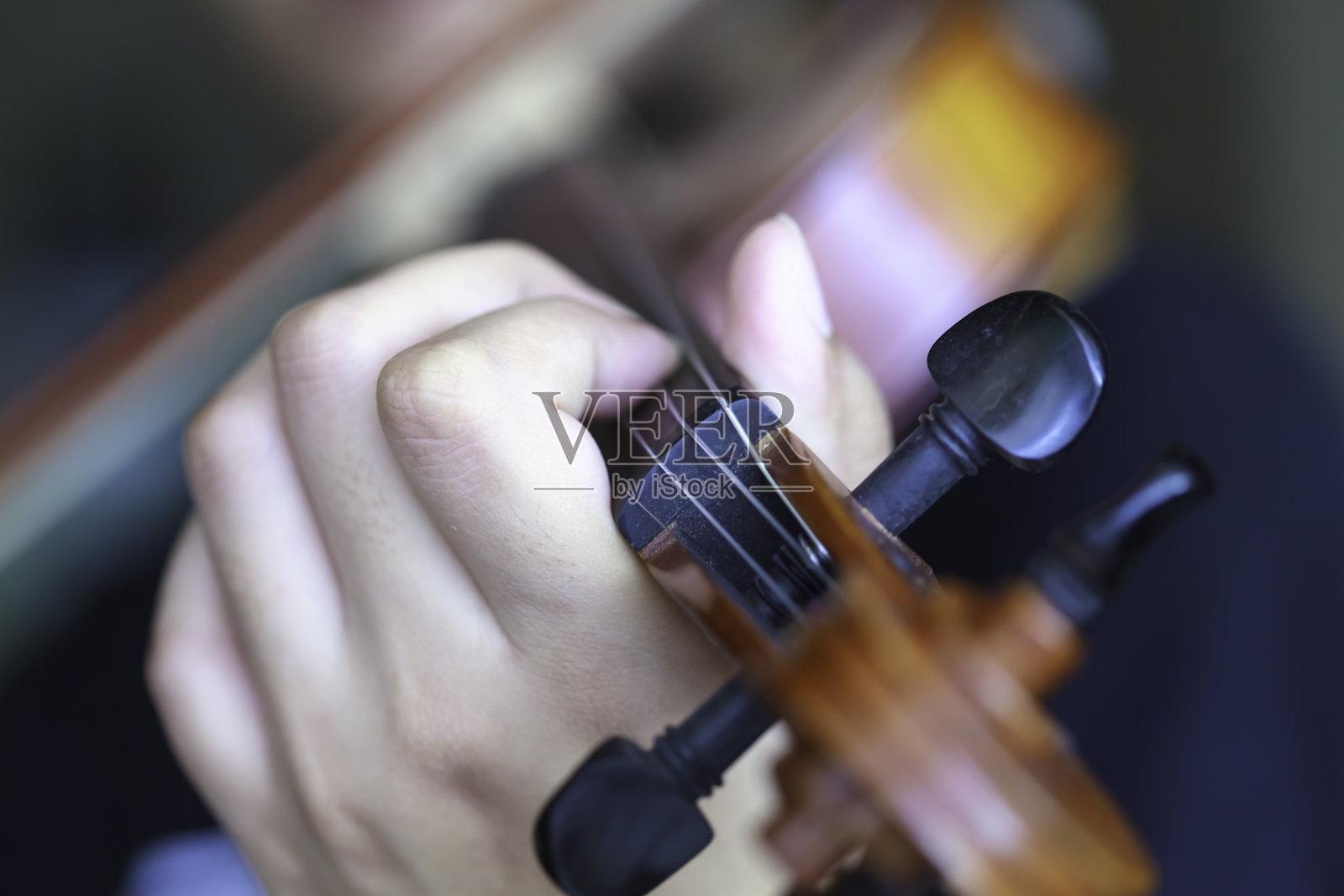 小提琴照片摄影图片