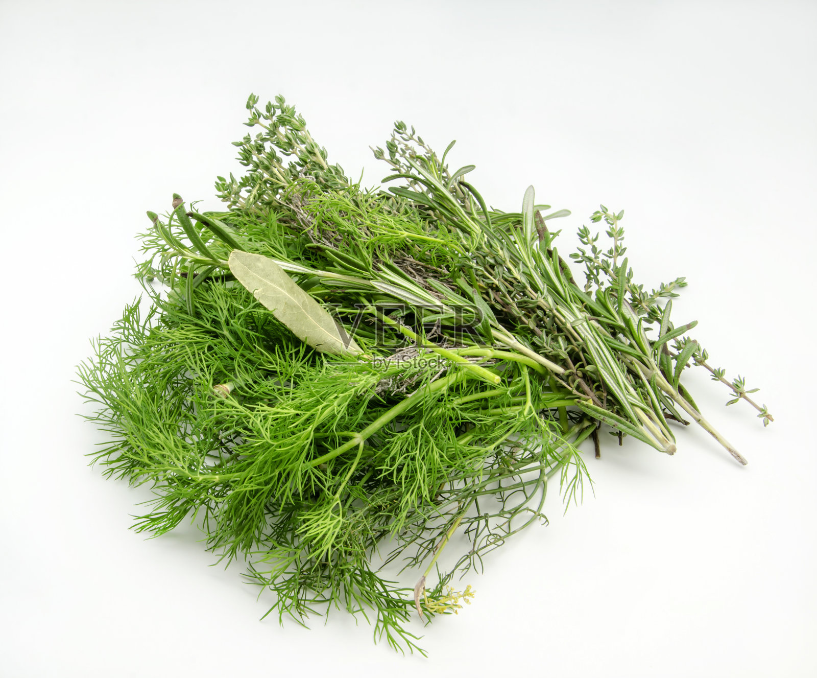 各种新鲜芳香的香草照片摄影图片