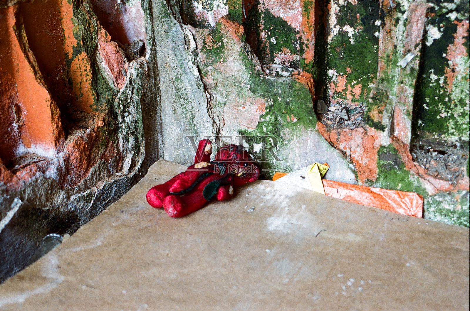 垃圾上的红色毛绒熊照片摄影图片