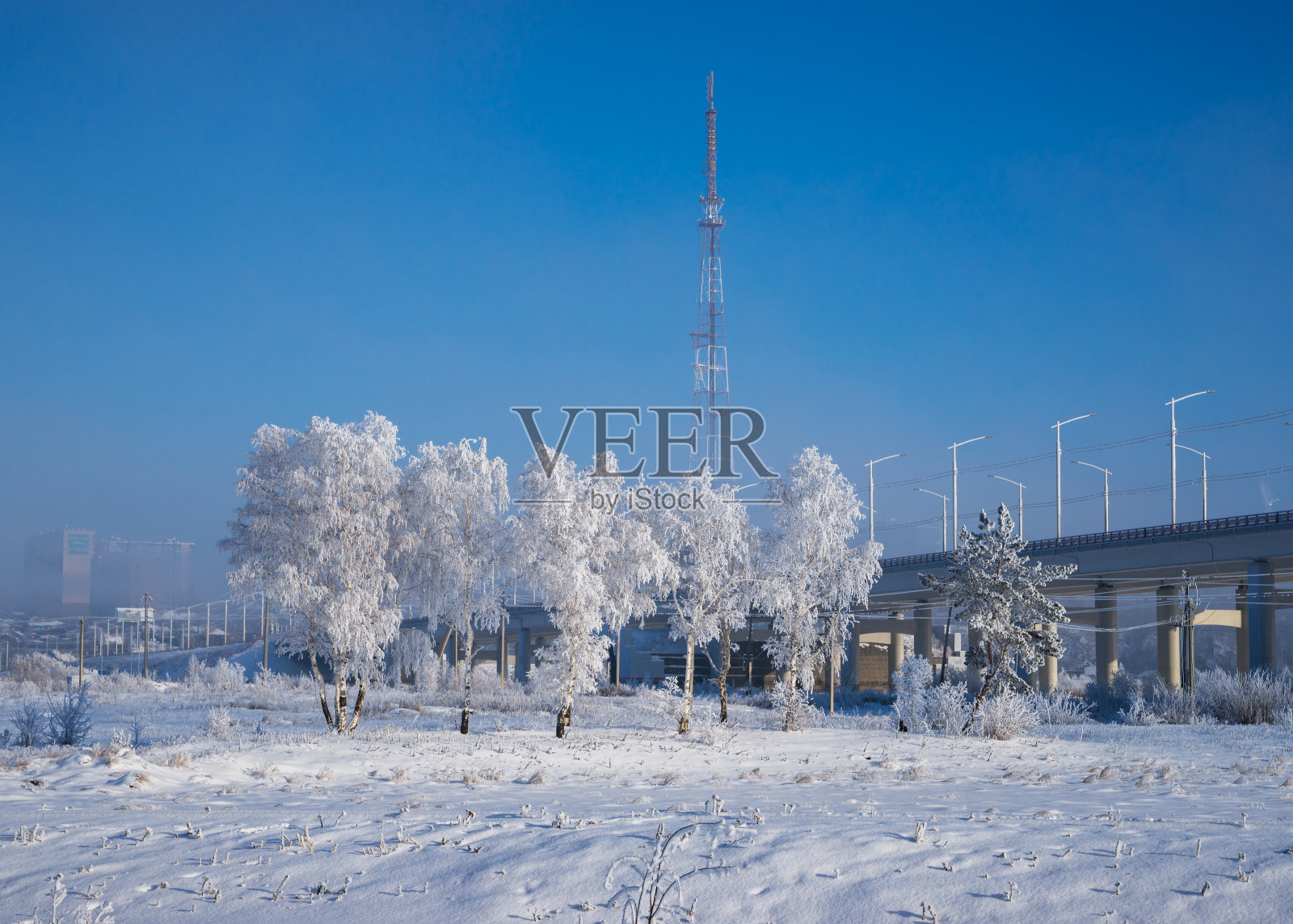 冬季11月照片摄影图片