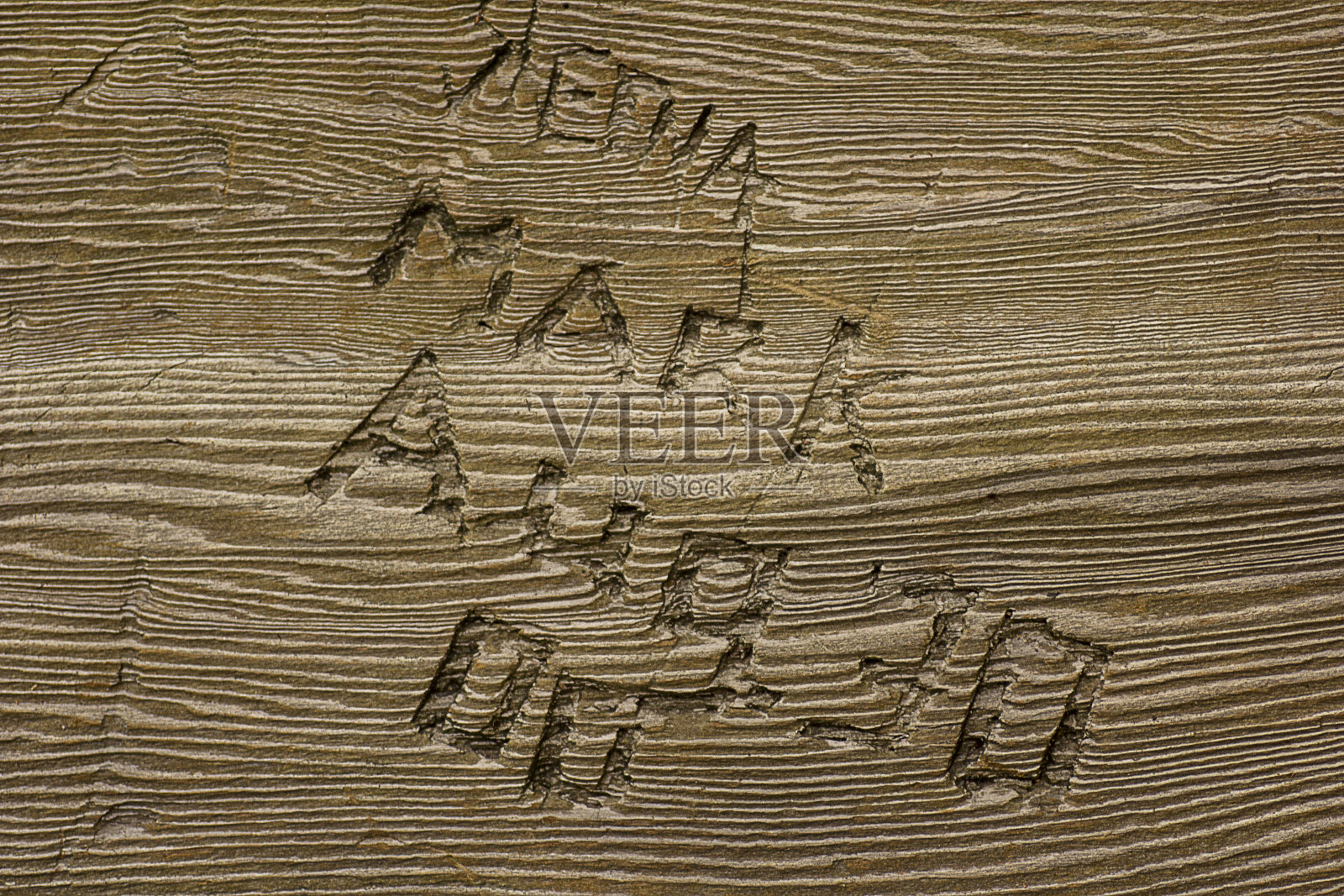 刻在木头上的名字照片摄影图片