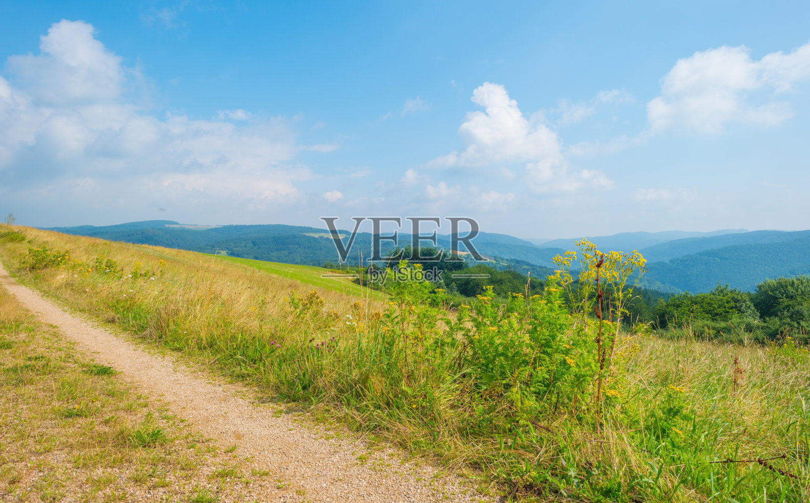 夏天的艾菲尔国家公园照片摄影图片