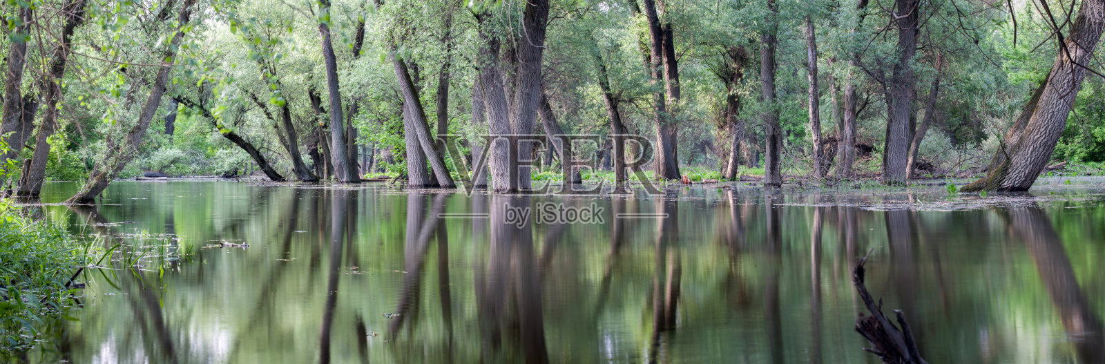 牛轭湖了。湿地景观。照片摄影图片