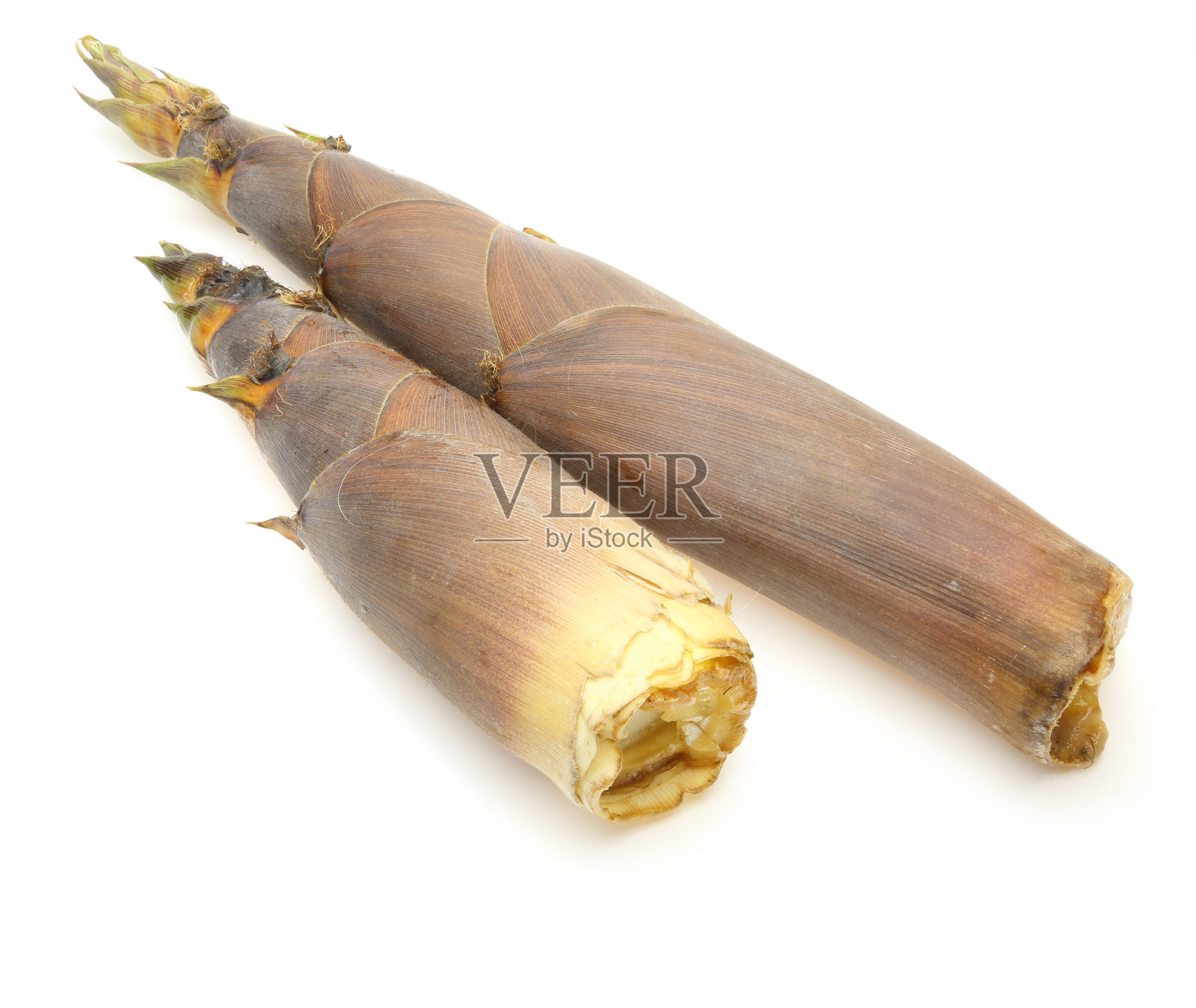 竹笋照片摄影图片