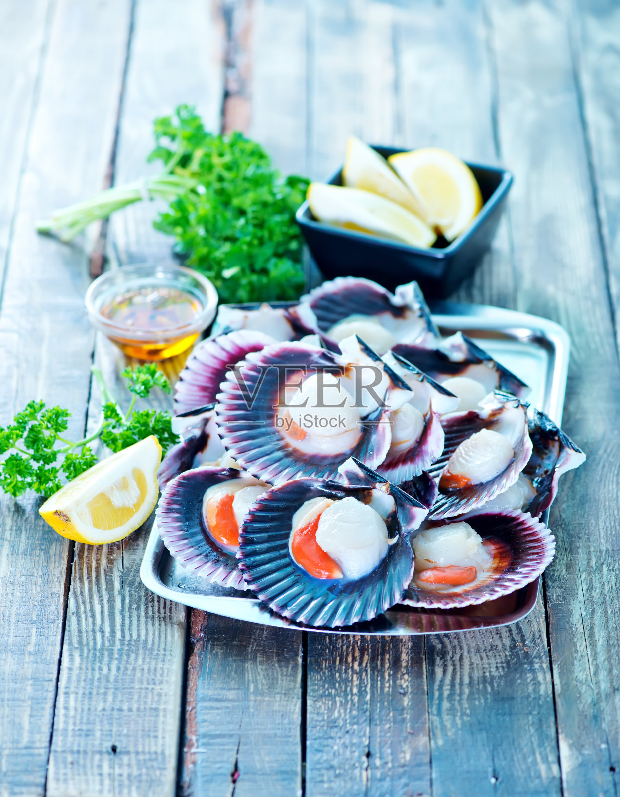 扇贝照片摄影图片