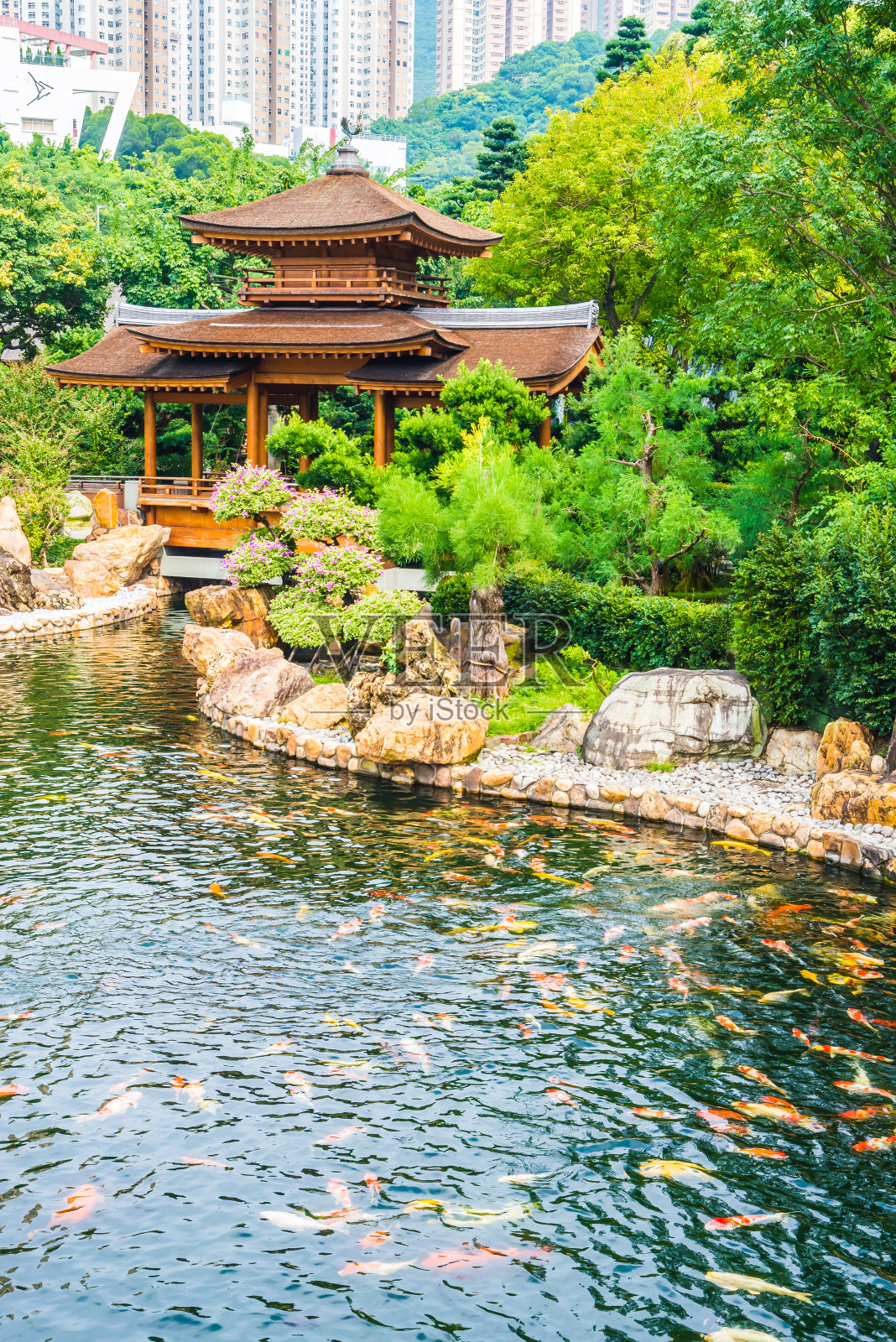 南莲园赤林寺照片摄影图片