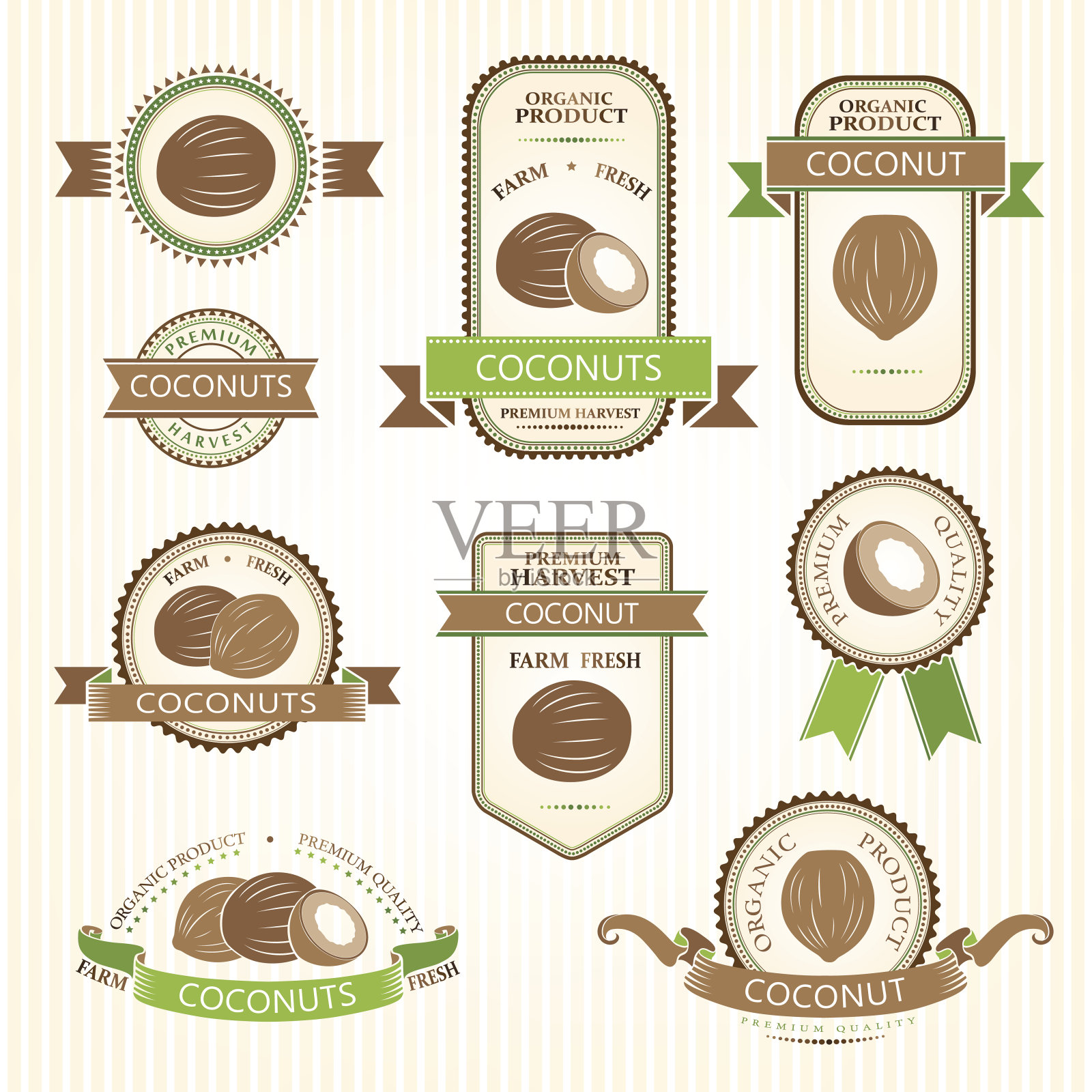 椰子标签集合插画图片素材