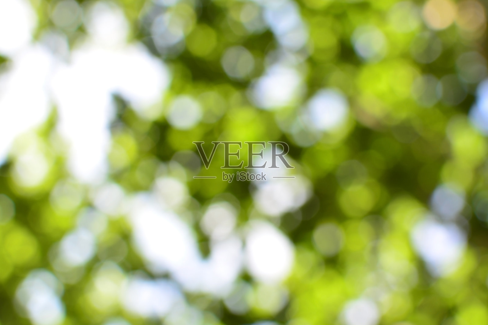 模糊明亮的散景自然背景照片摄影图片