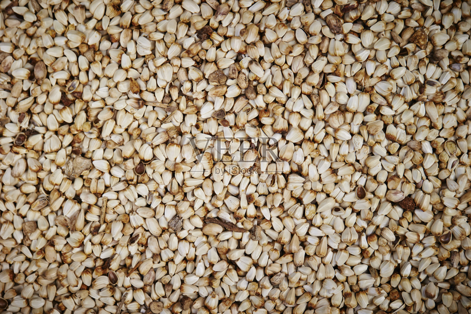 中草药照片摄影图片