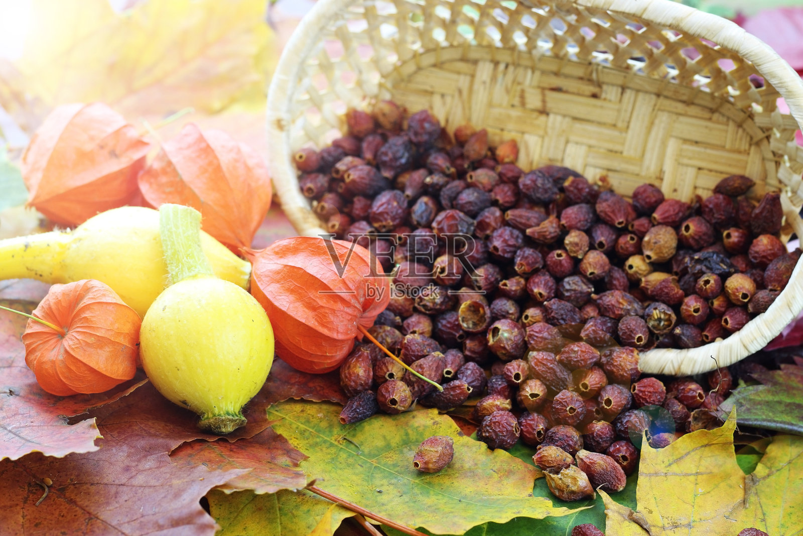 依旧落叶落南瓜照片摄影图片