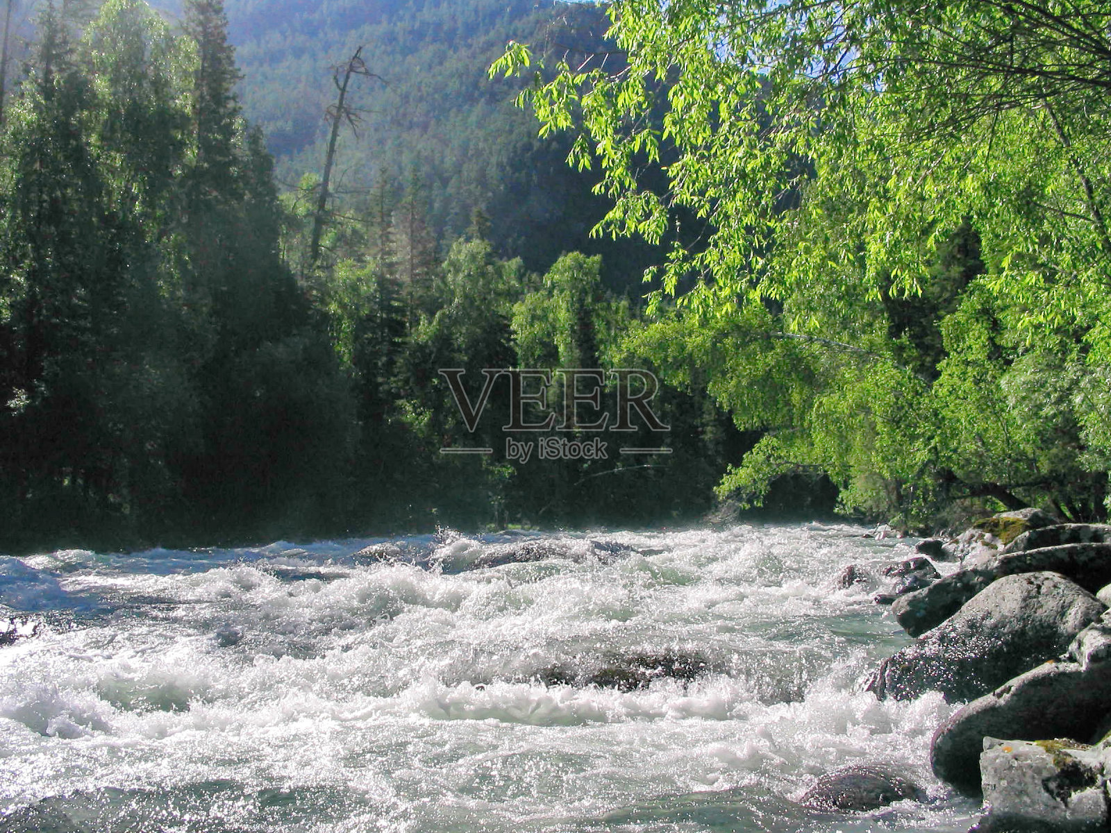 阿尔泰河照片摄影图片