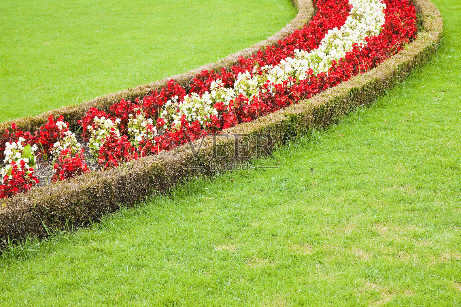 精心修剪的花园显示出它的色彩照片摄影图片