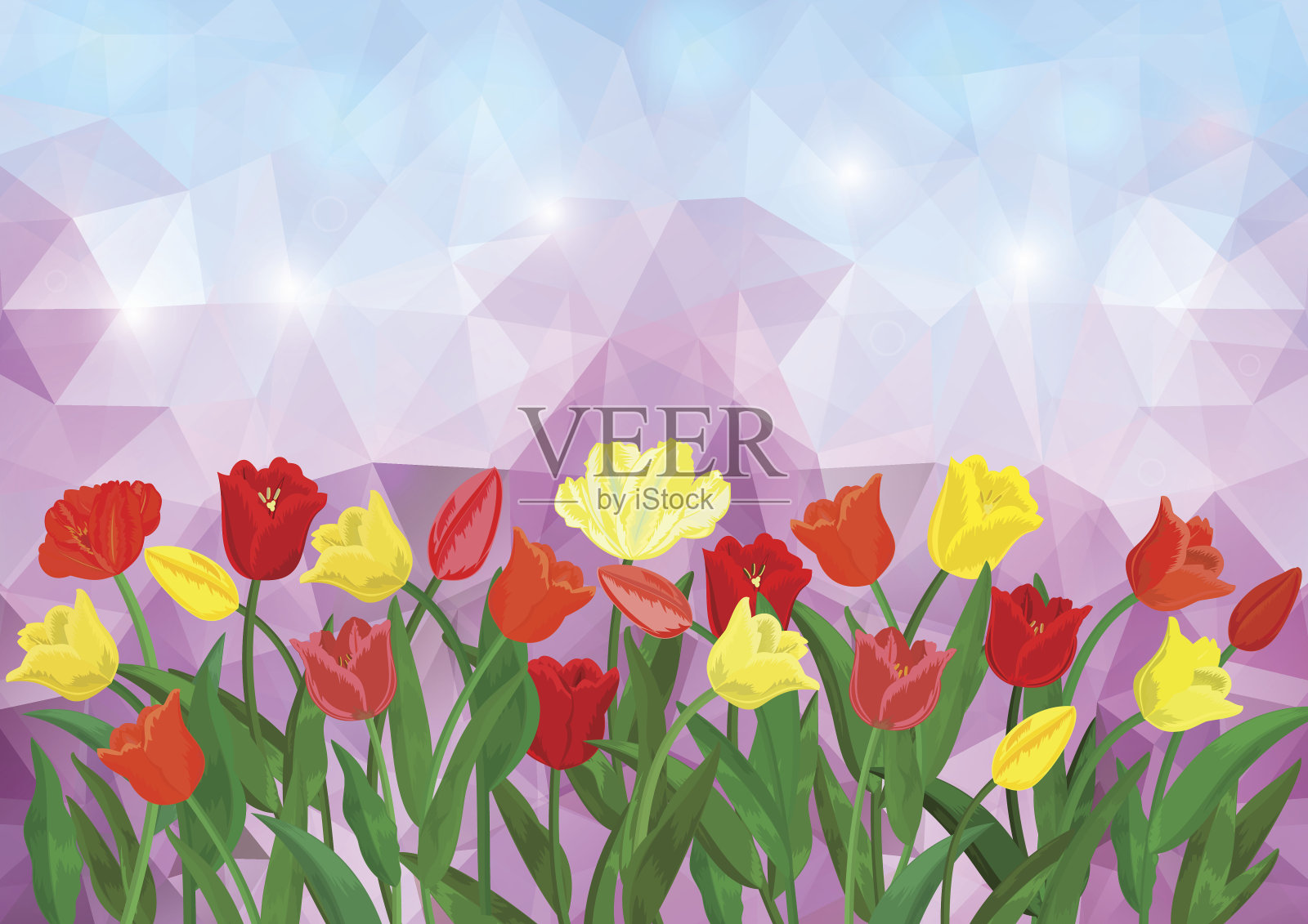 彩色郁金香边界三角形背景插画图片素材