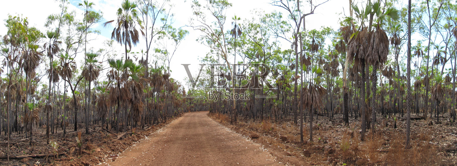 澳大利亚内陆的道路照片摄影图片