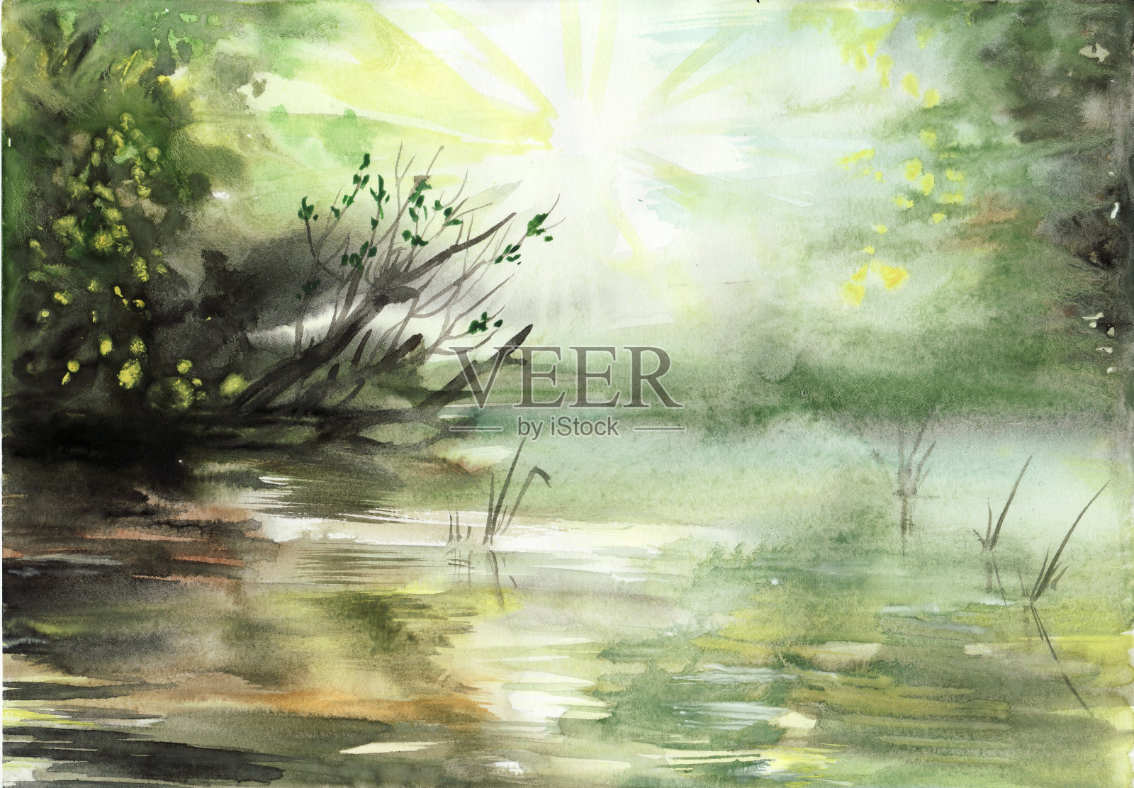 阳光和水插画图片素材