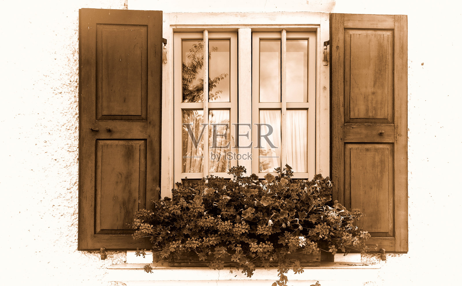 窗口照片摄影图片