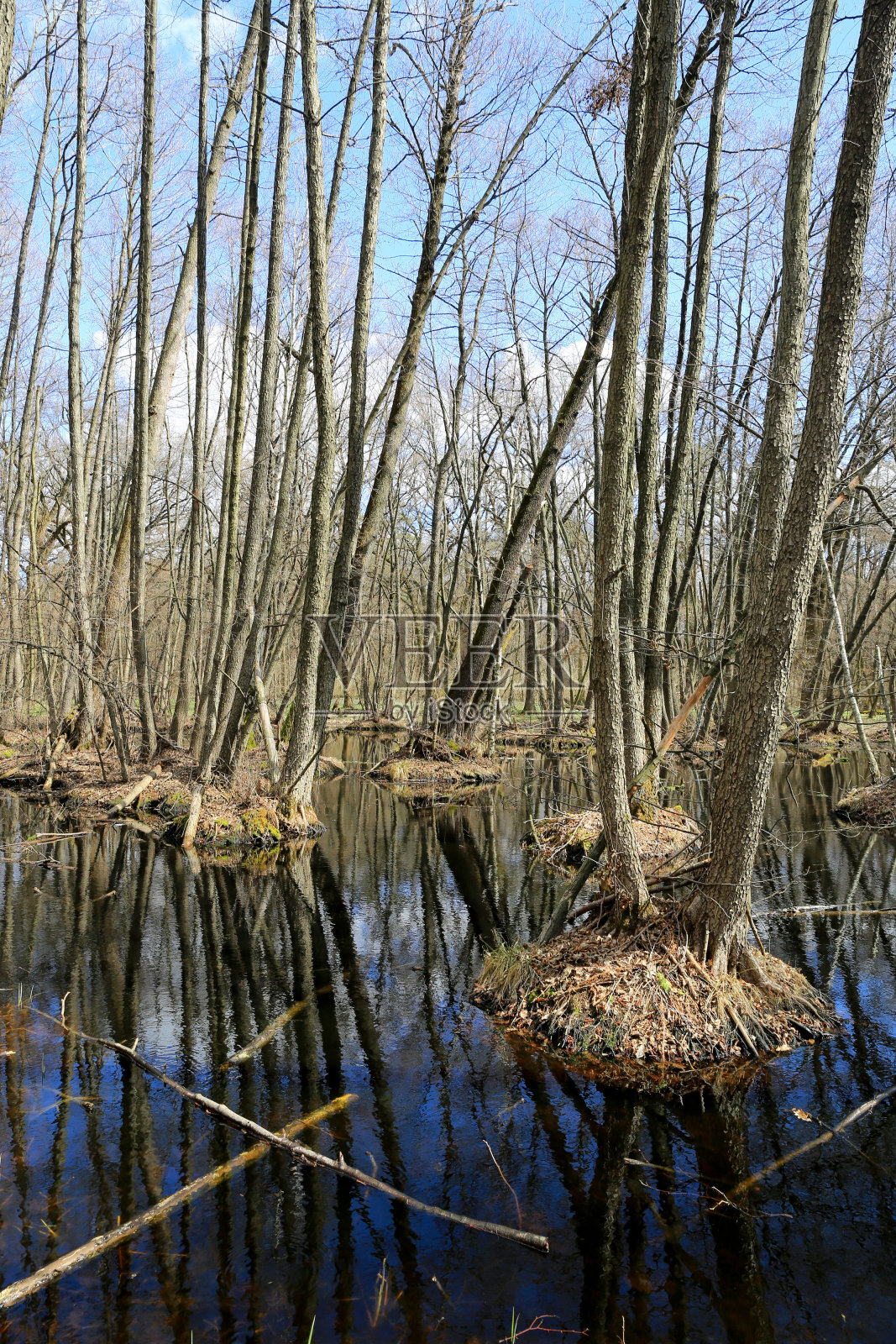 春林湖照片摄影图片