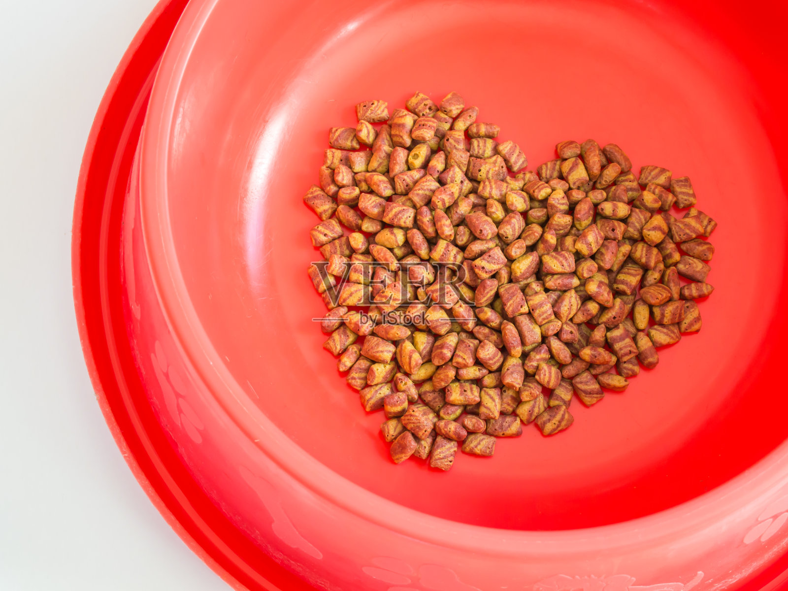 爱宠物照片摄影图片