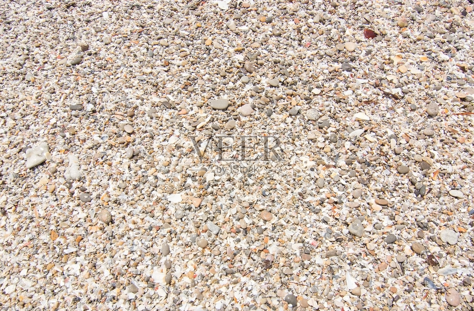 海滩上有岩石和贝壳照片摄影图片