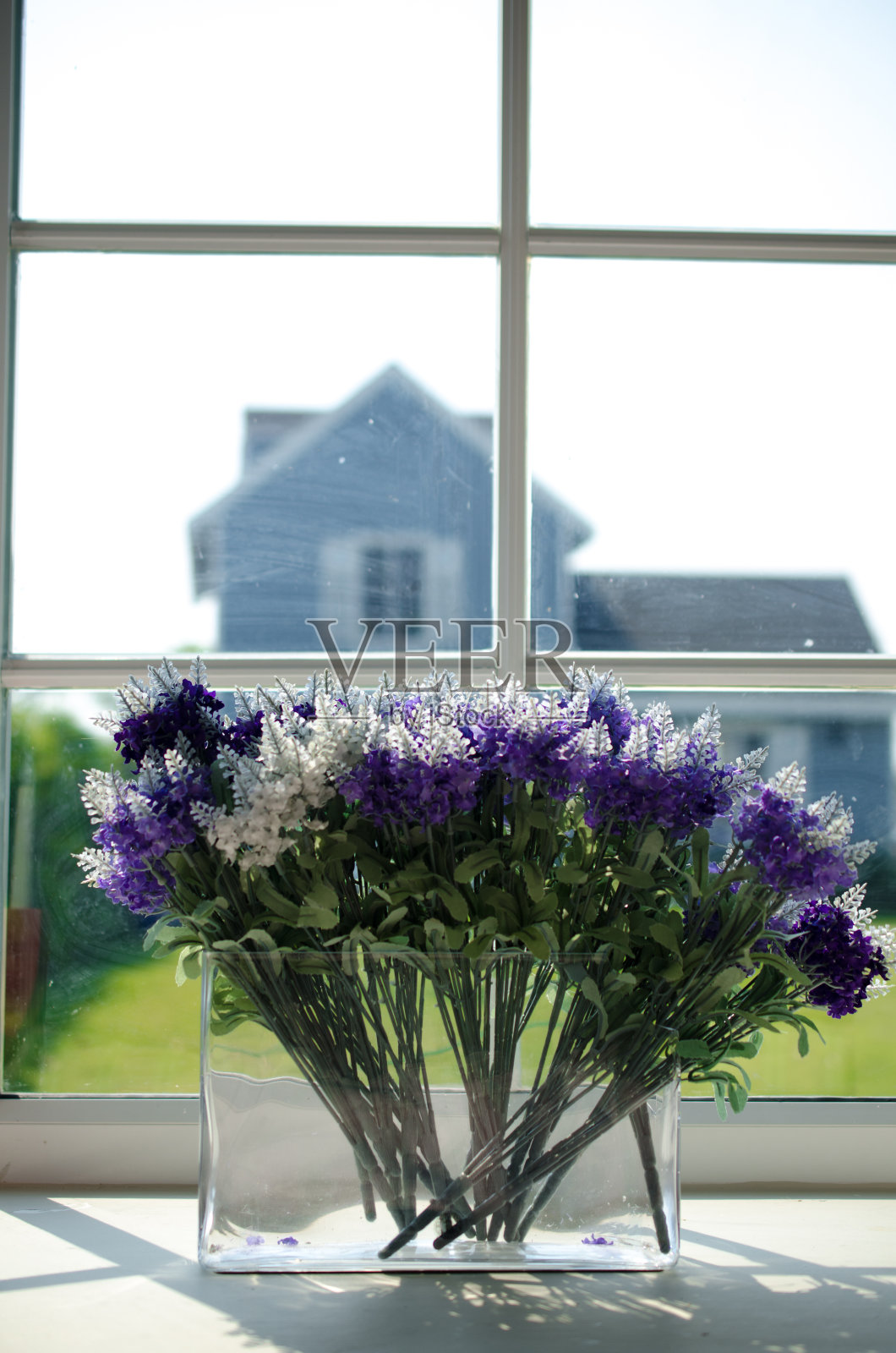 窗边的花照片摄影图片