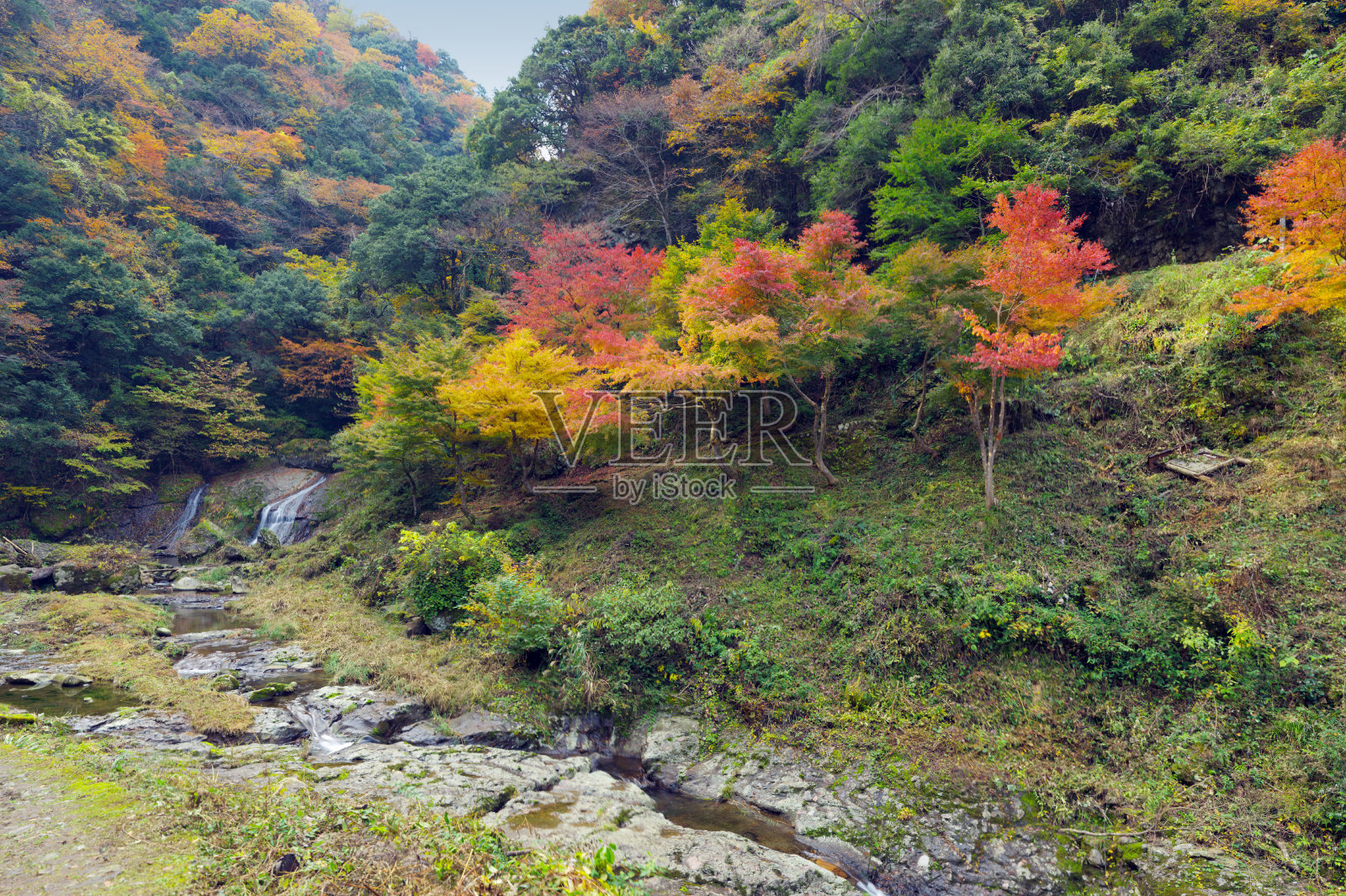 秋天的日本峡谷照片摄影图片