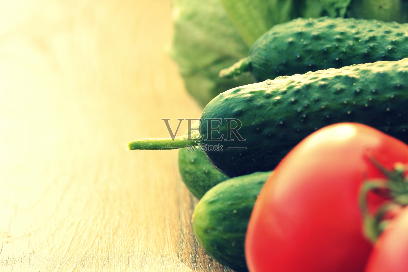 新鲜蔬菜组照片摄影图片