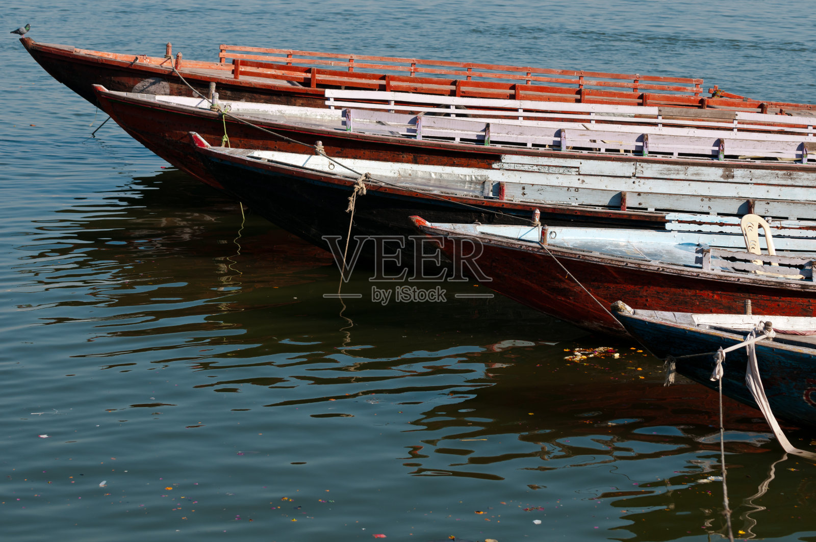 早上瓦拉纳西照片摄影图片