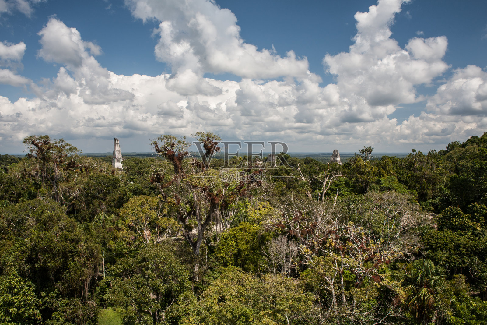 玛雅遗址和丛林树冠照片摄影图片